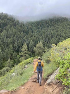 Golden Eagle Trail to Bill Couch Mountain