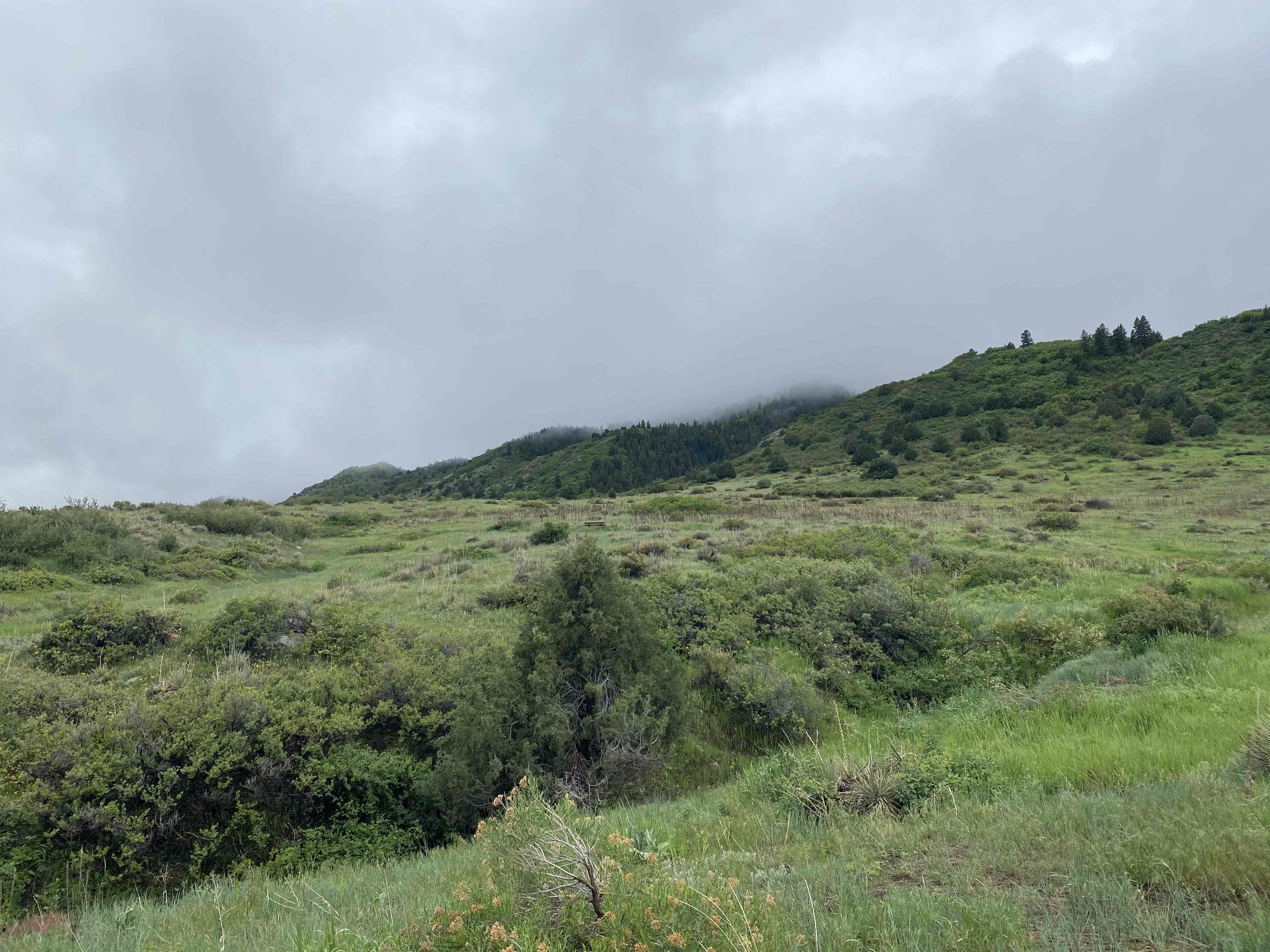 Golden Eagle Trail to Bill Couch Mountain