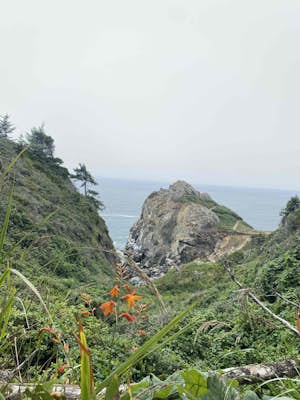 Patrick's Point Trail