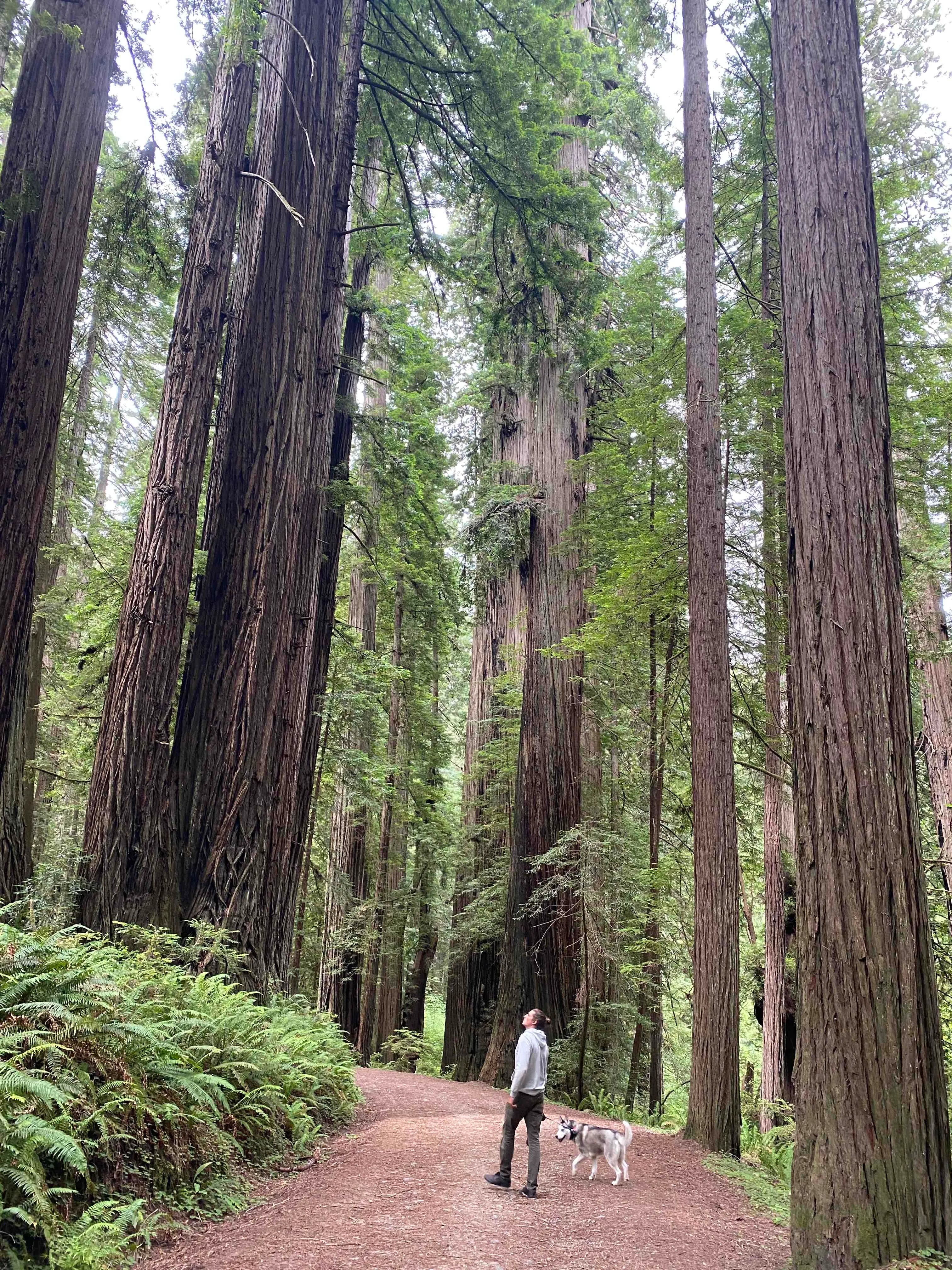 Cal Barrel Road