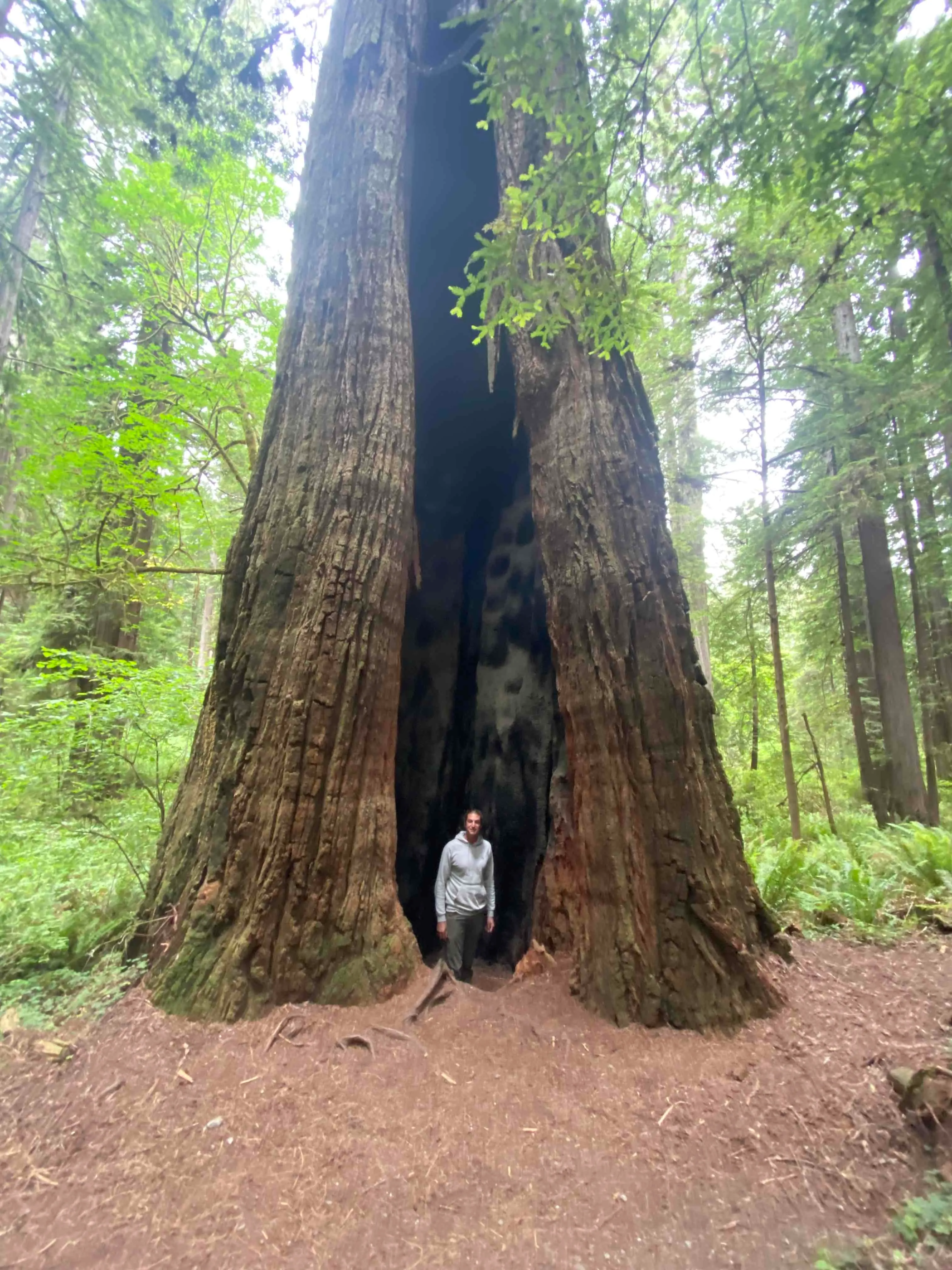 Cal Barrel Road