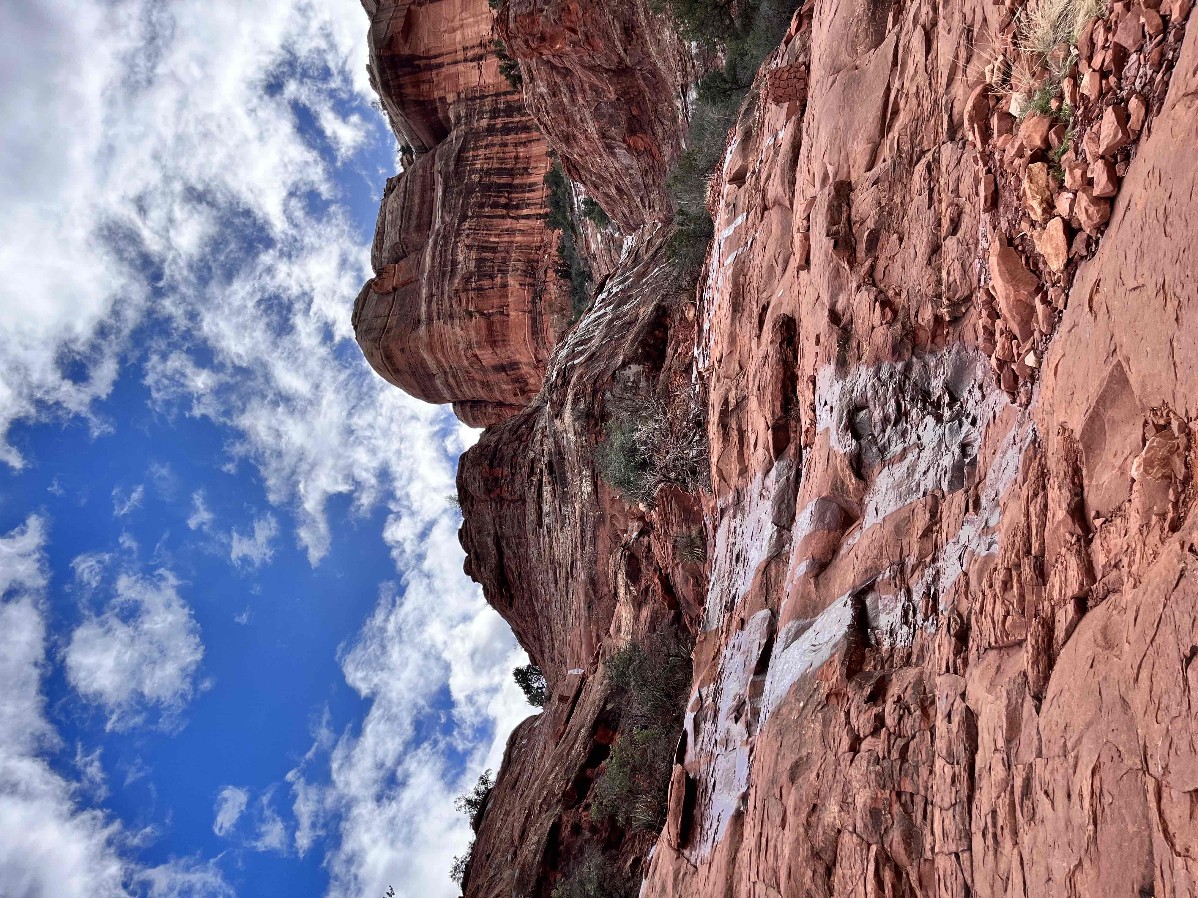 Cathedral Rock