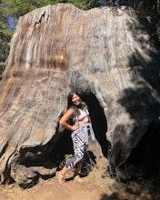 Big Stump Loop Trail