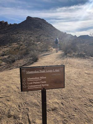 Hike the Mastadon Peak Loop