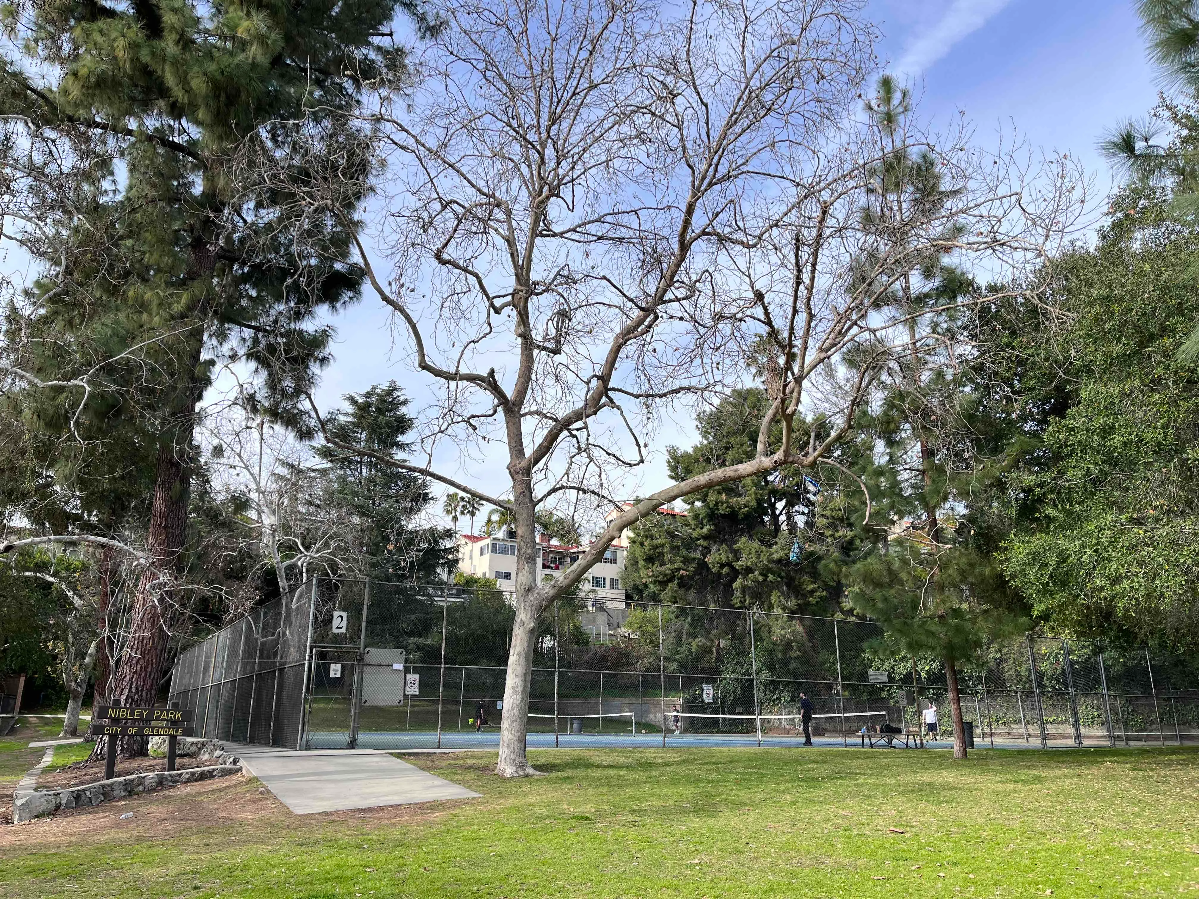Nibley Park