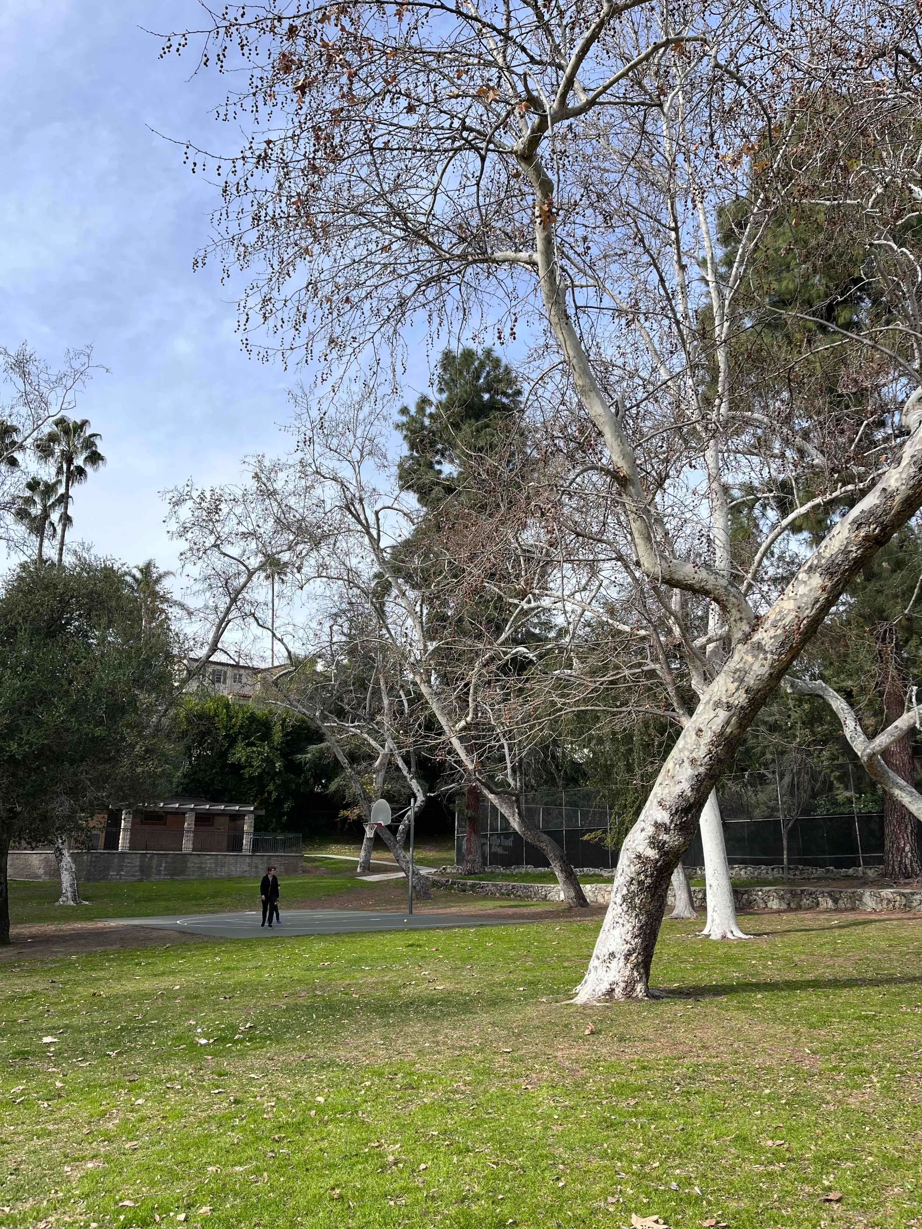 Nibley Park
