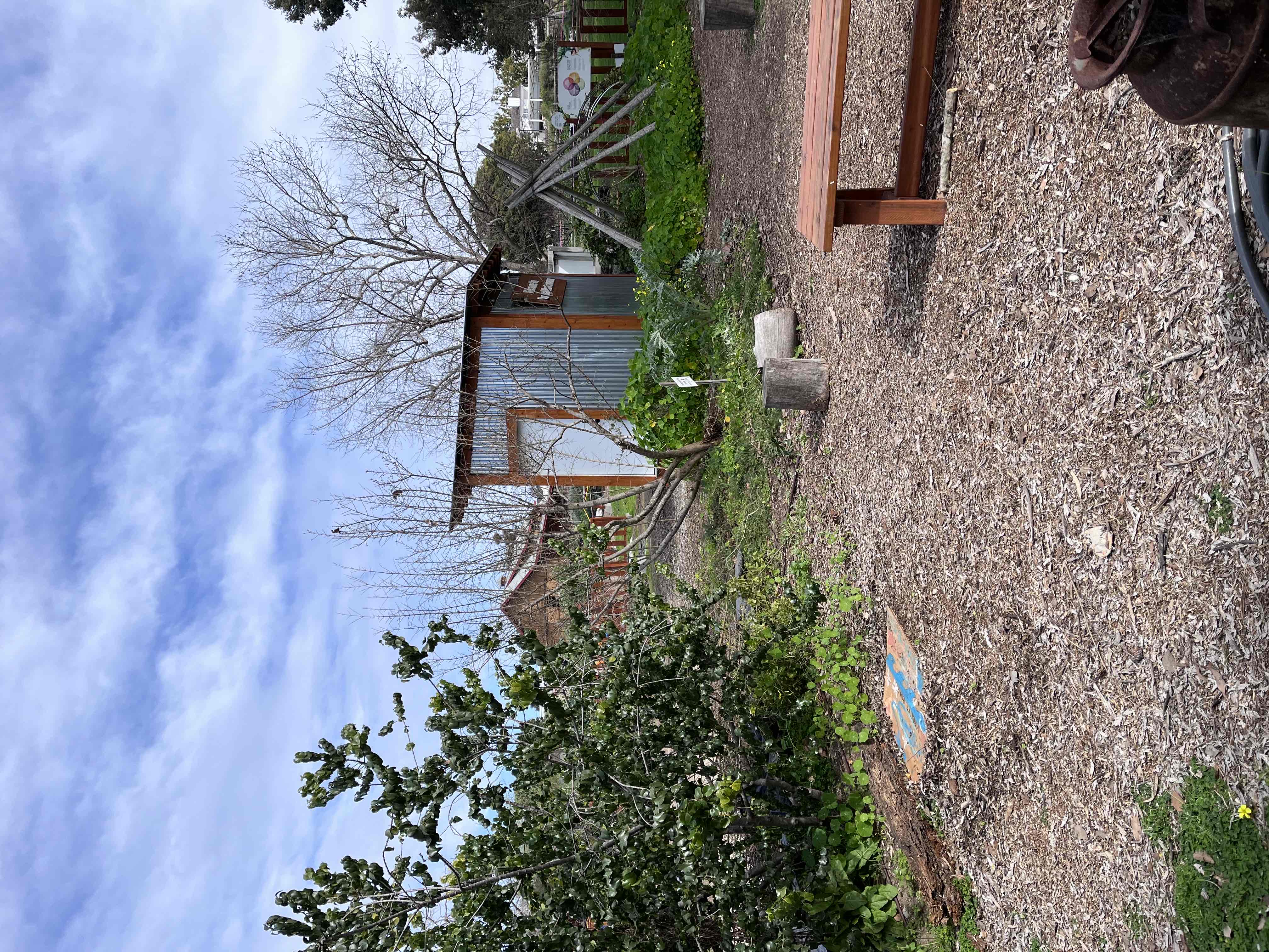 Coastal Roots Farm 