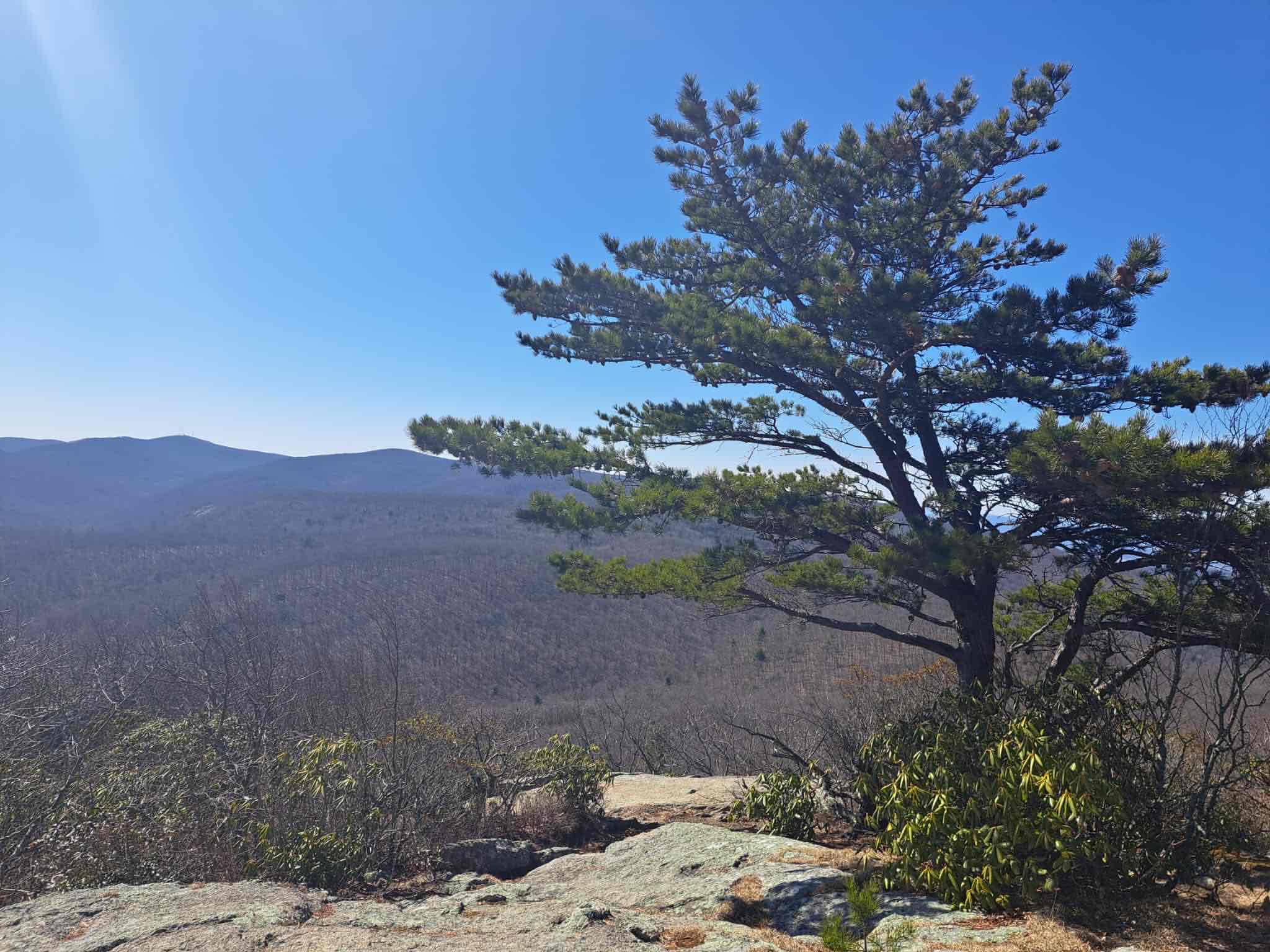 Spy Rock via Cash Hollow