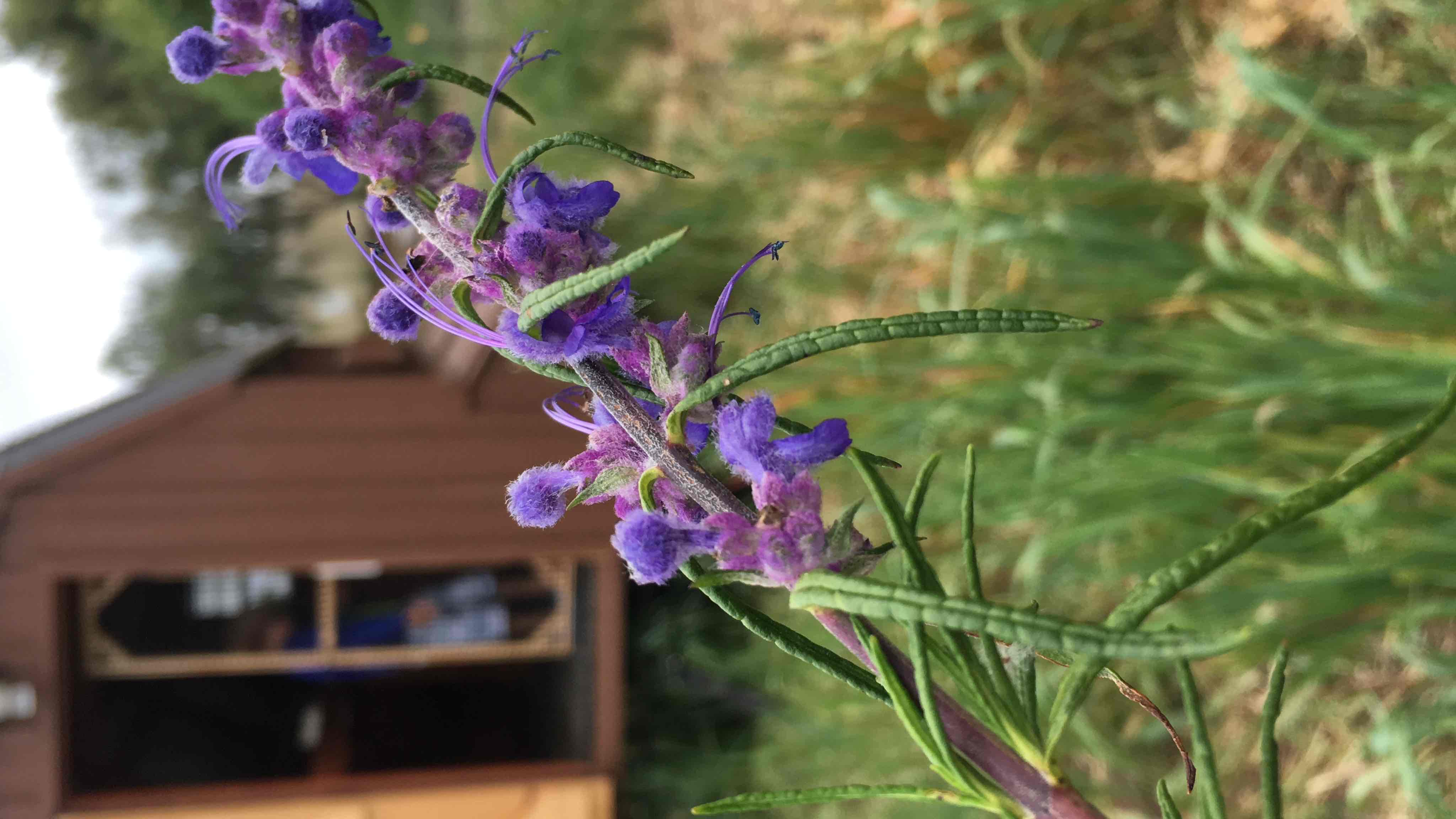 Coastal Roots Farm 