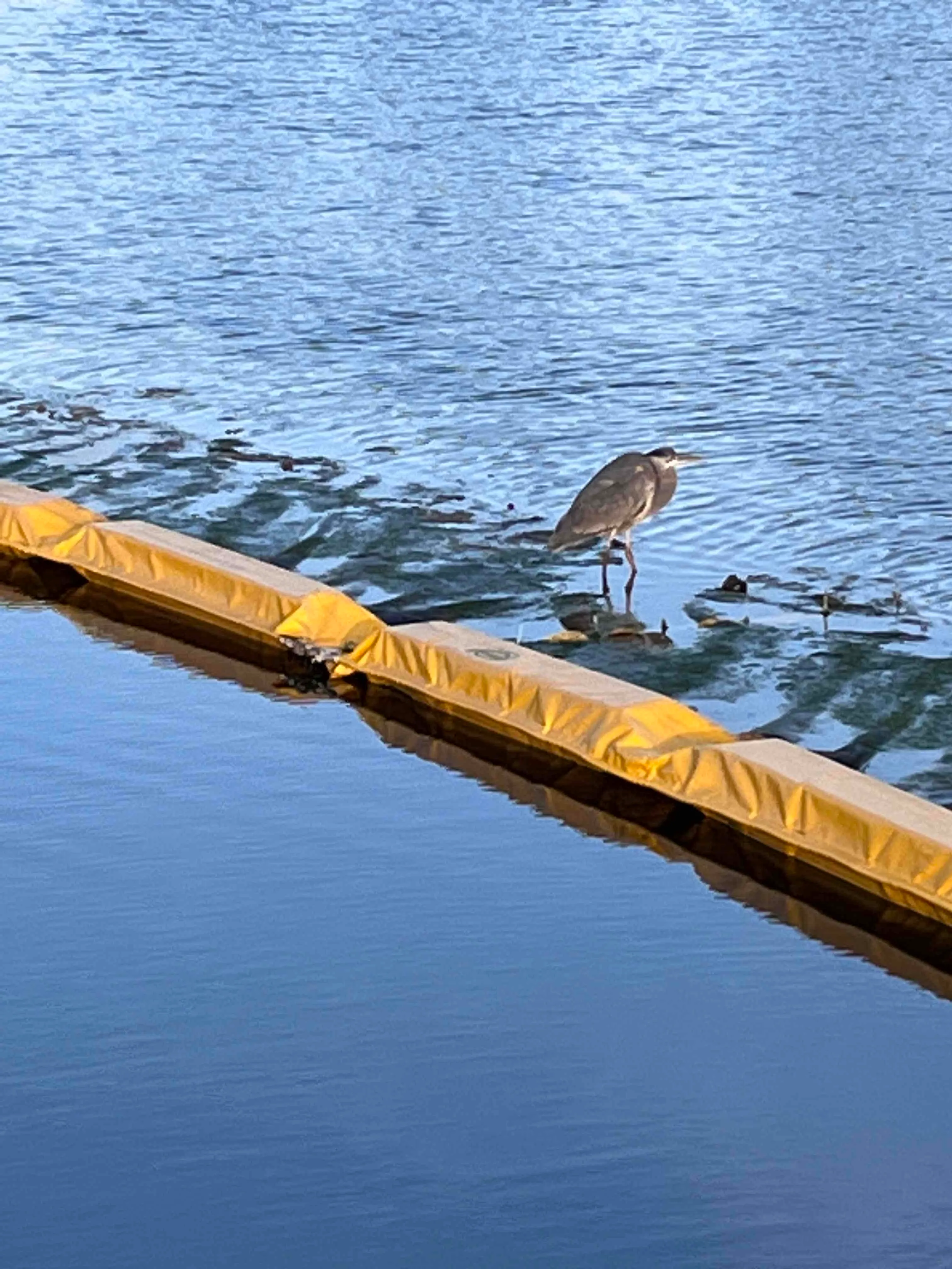Colorado Lagoon