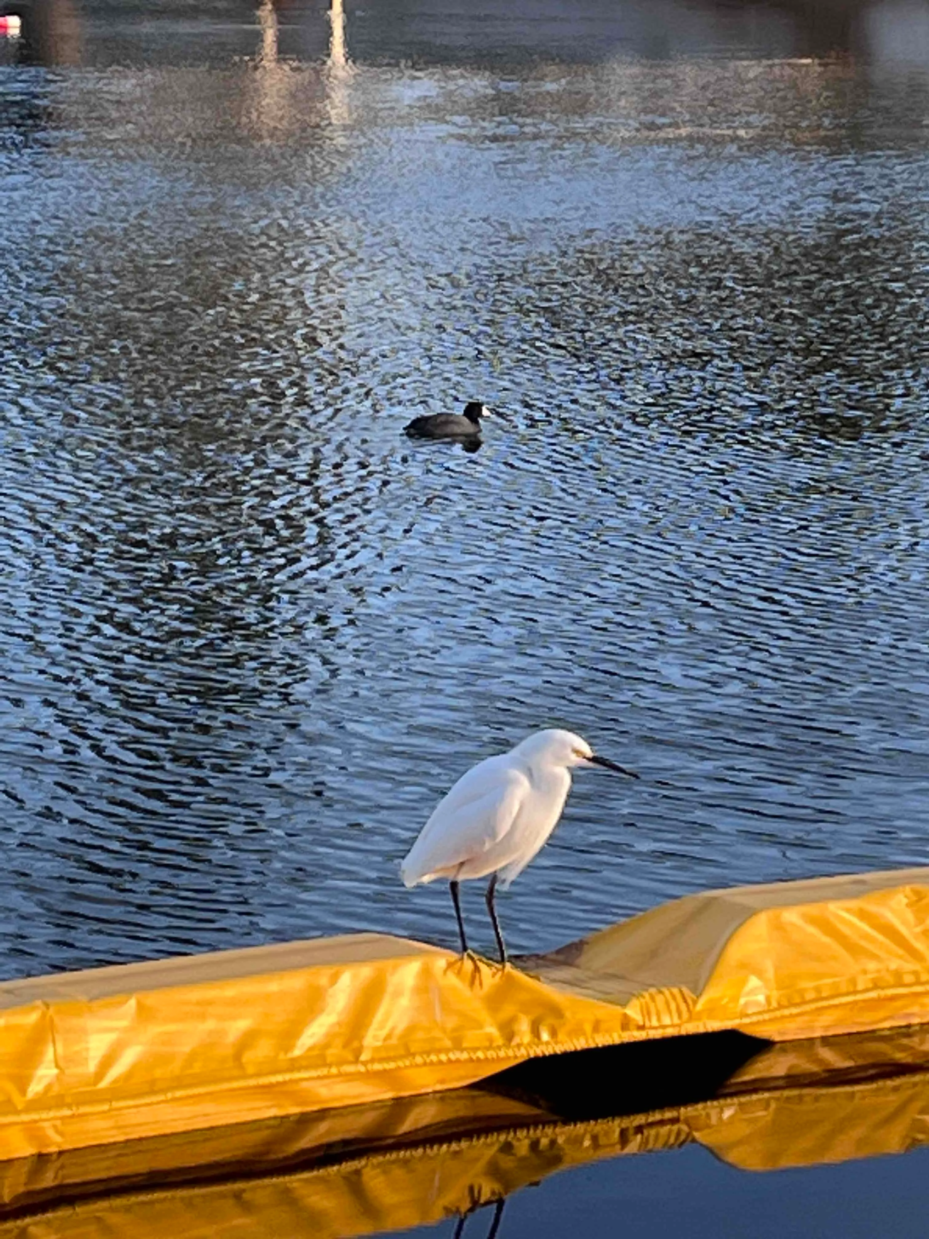 Colorado Lagoon