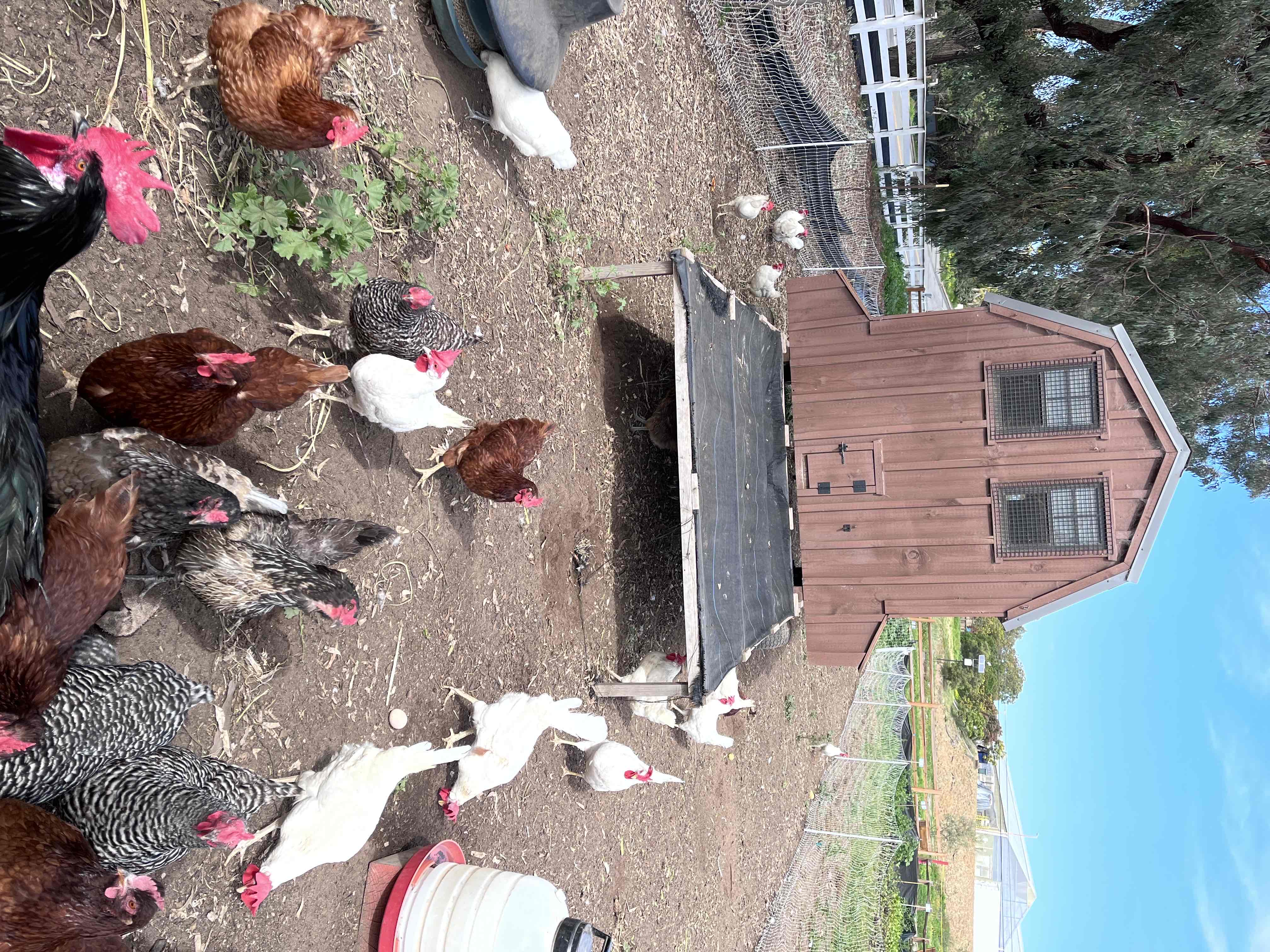 Coastal Roots Farm 