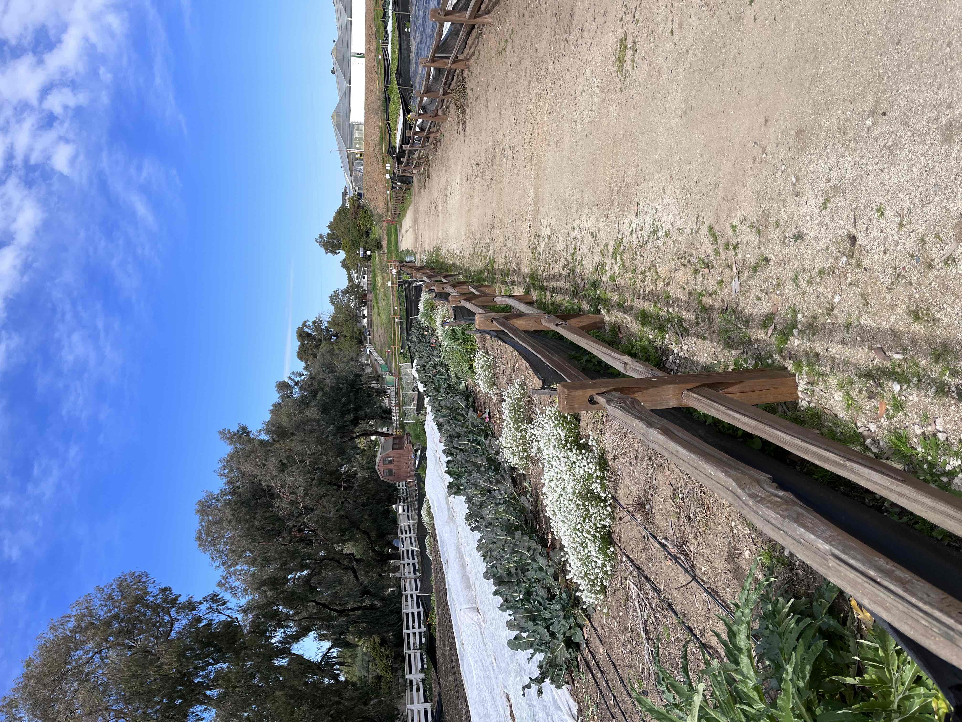 Coastal Roots Farm 