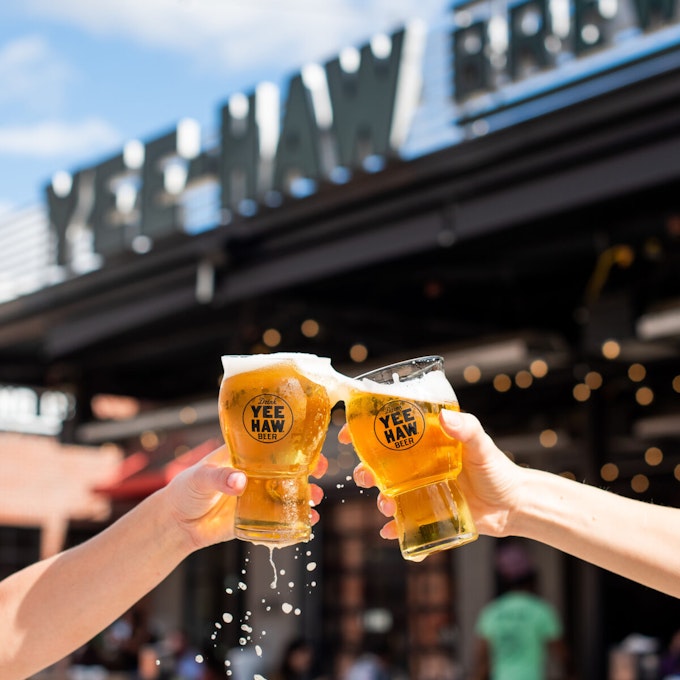 Two hands clink beer glasses with the label 