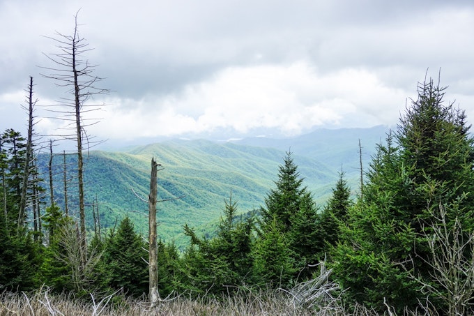 Evergreen trees fill the foreground and greenery-covered mountains fill the background. The clouds are low and grey.