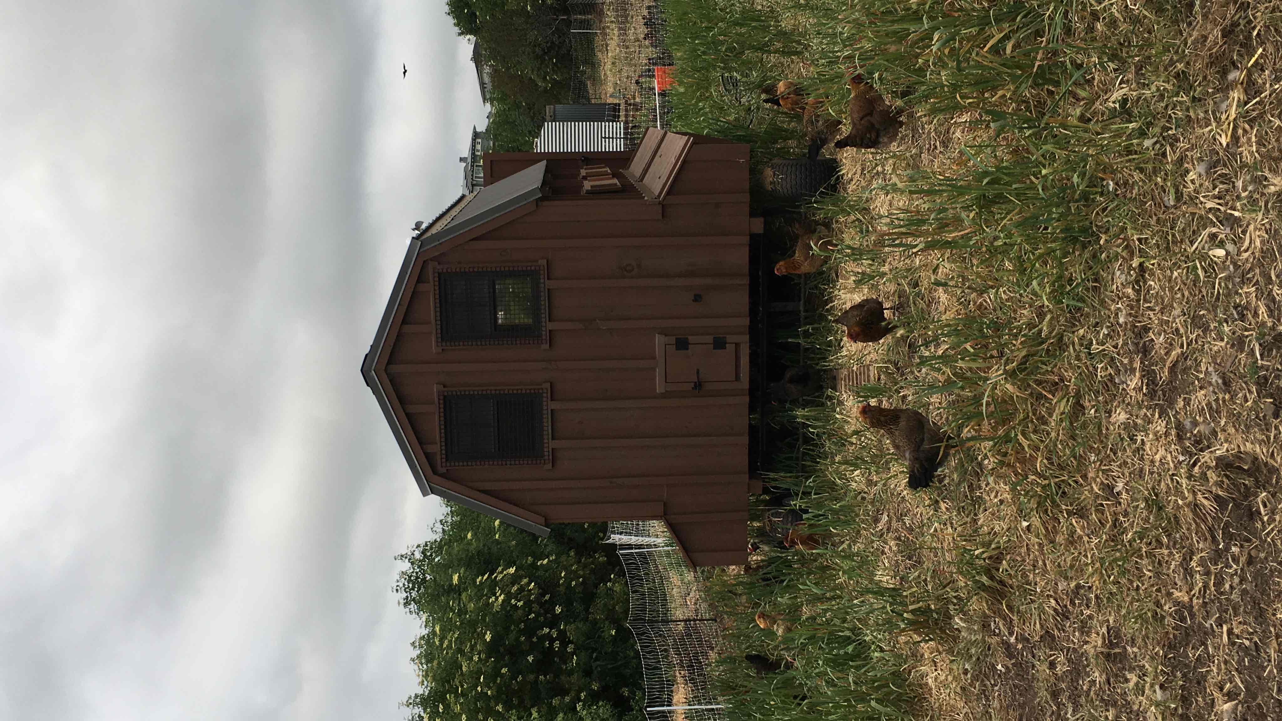 Coastal Roots Farm 