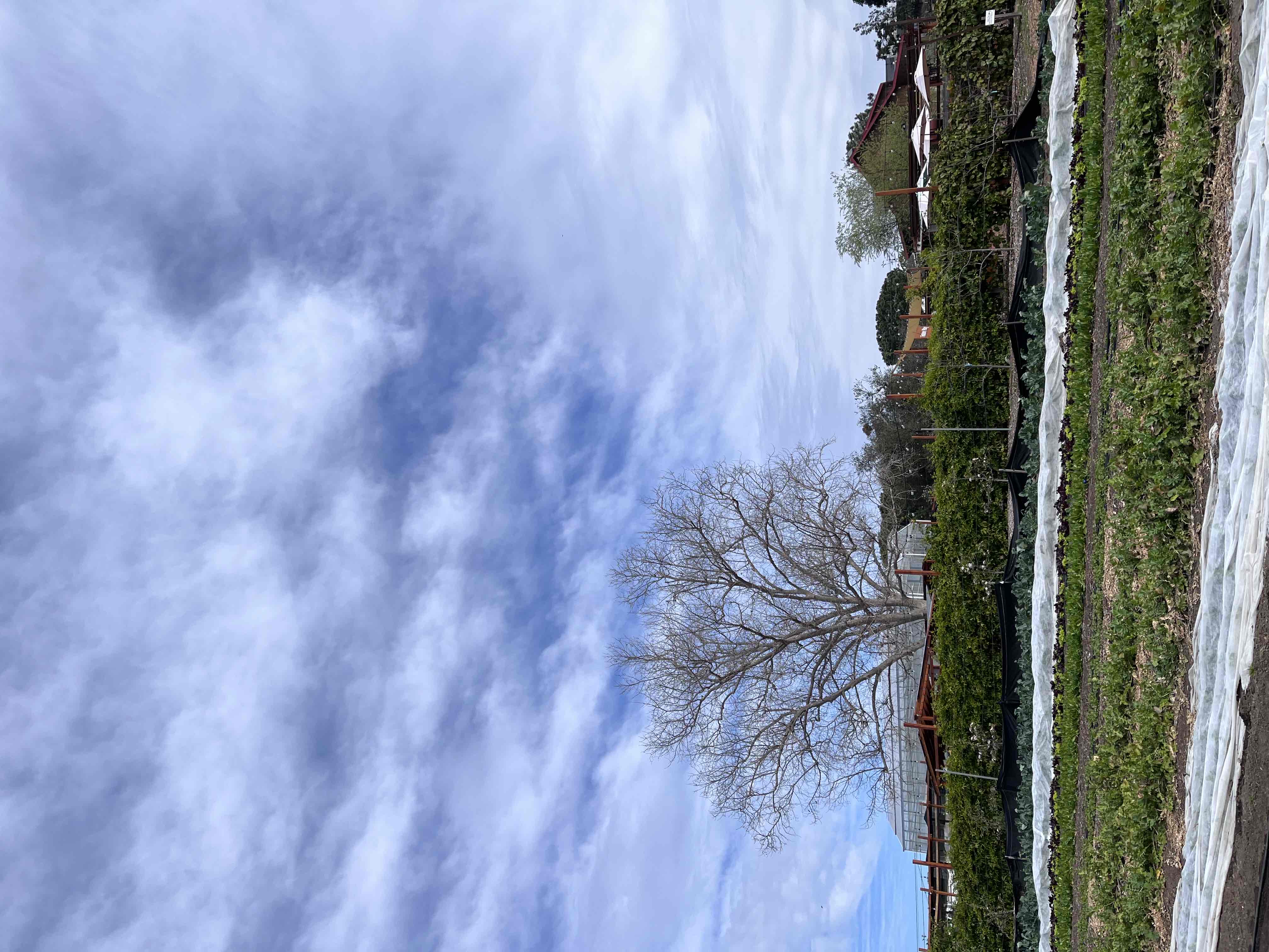 Coastal Roots Farm 