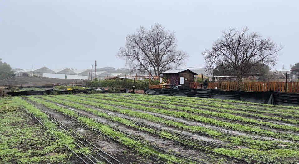 Coastal Roots Farm 