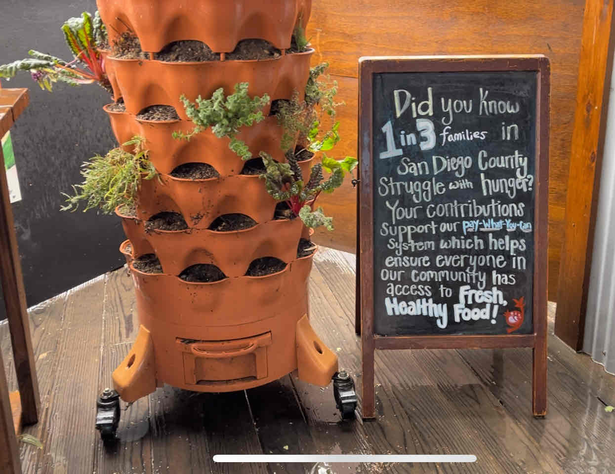 Coastal Roots Farm 