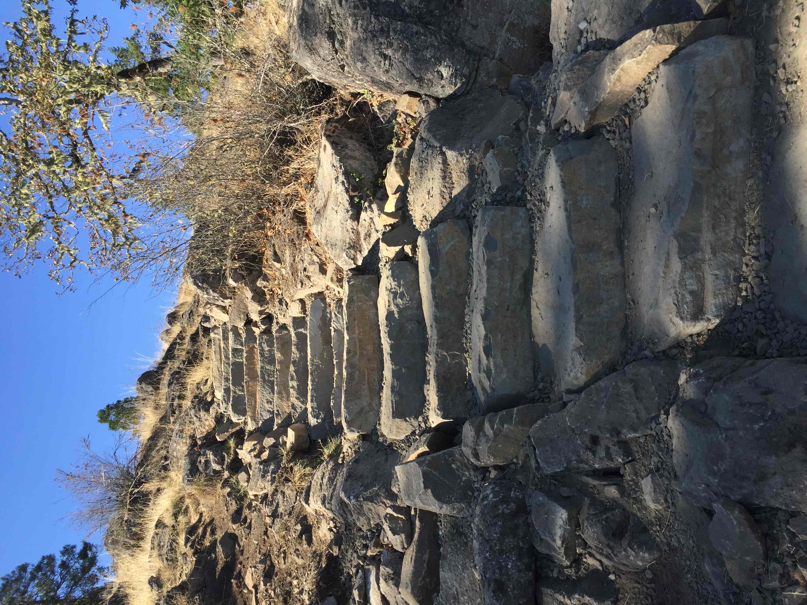 Spencer Butte Loop