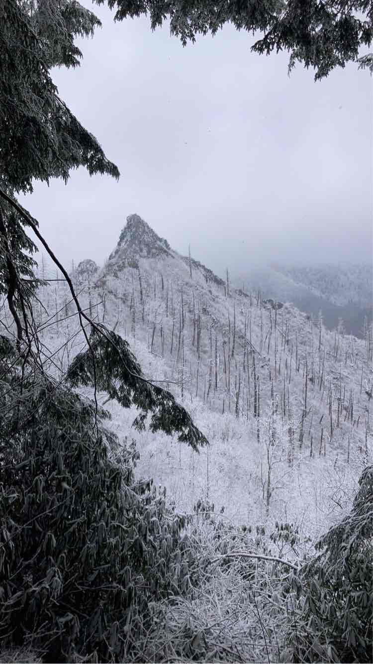 Hike the Chimney Tops