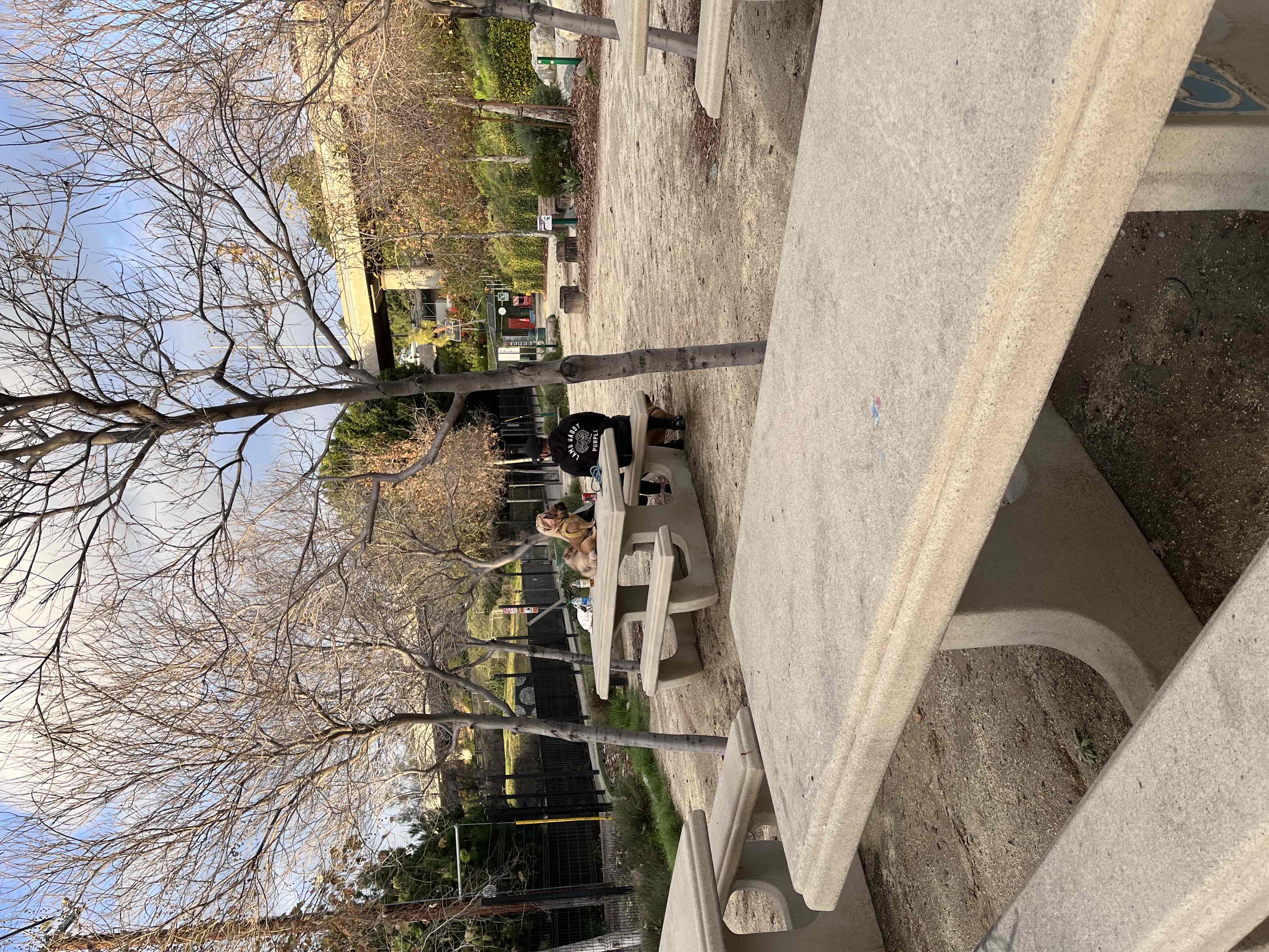 Franklin-Ivar Park