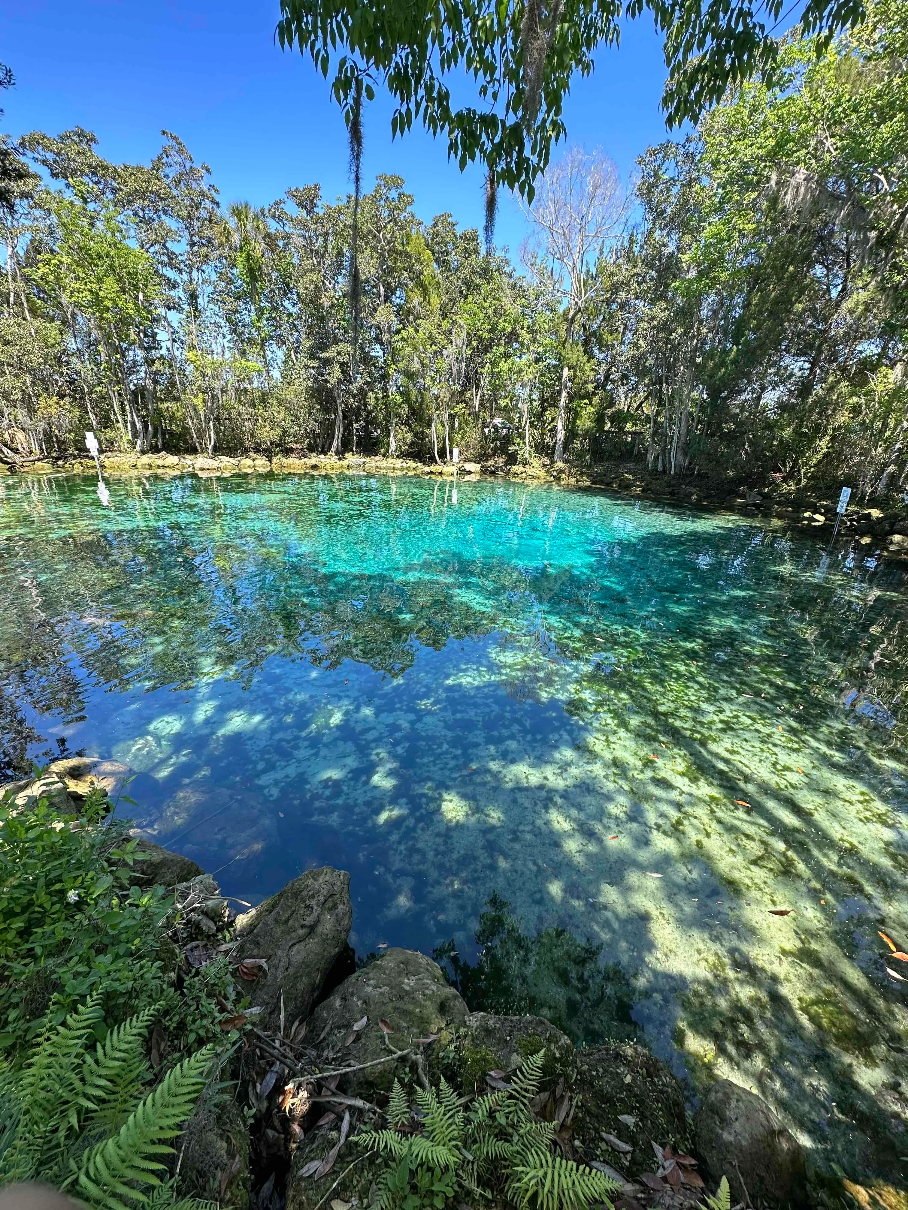 Three Sisters Springs