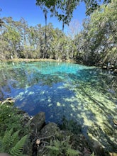 Three Sisters Springs