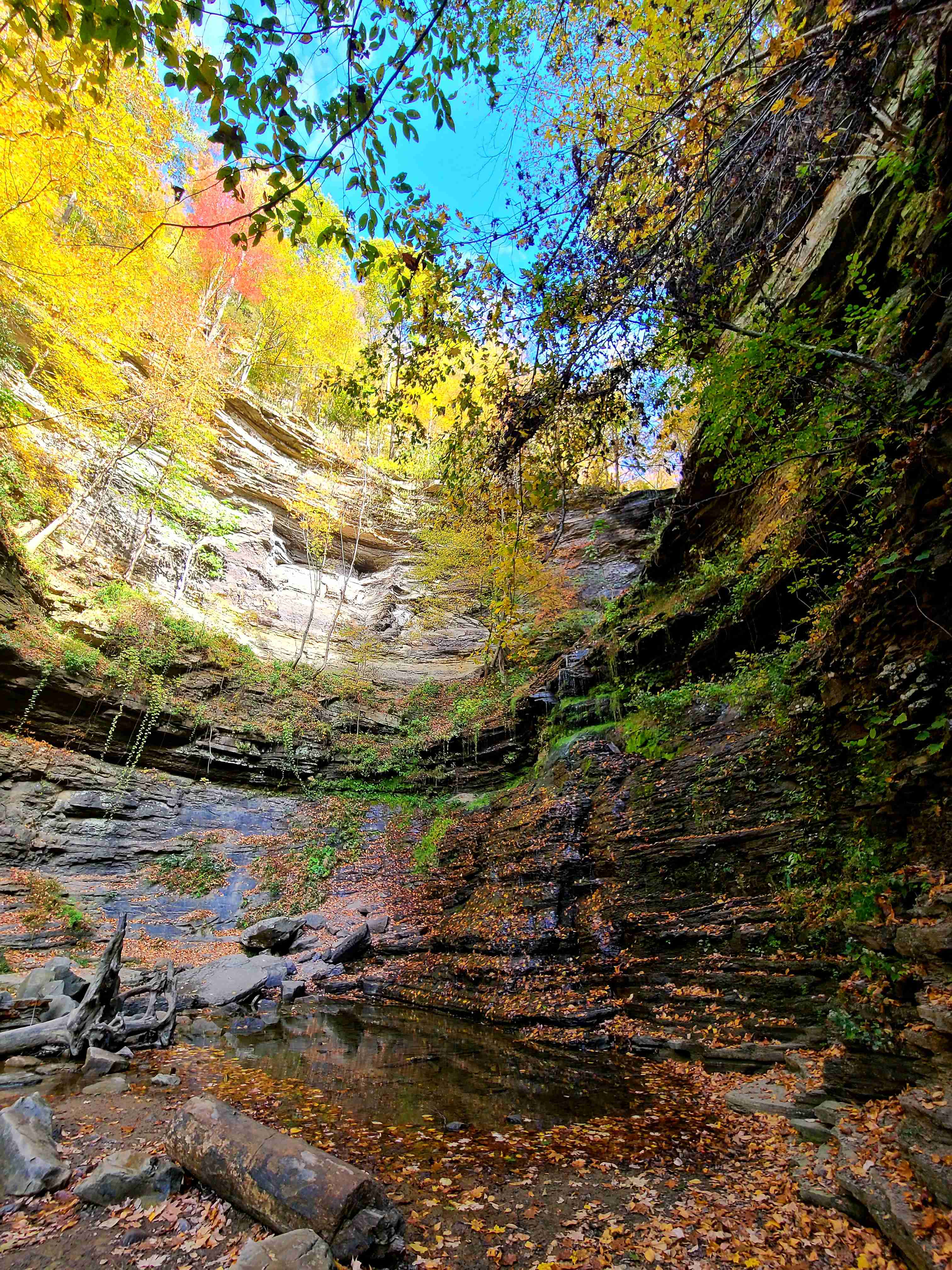 Photograph Cathedral Falls