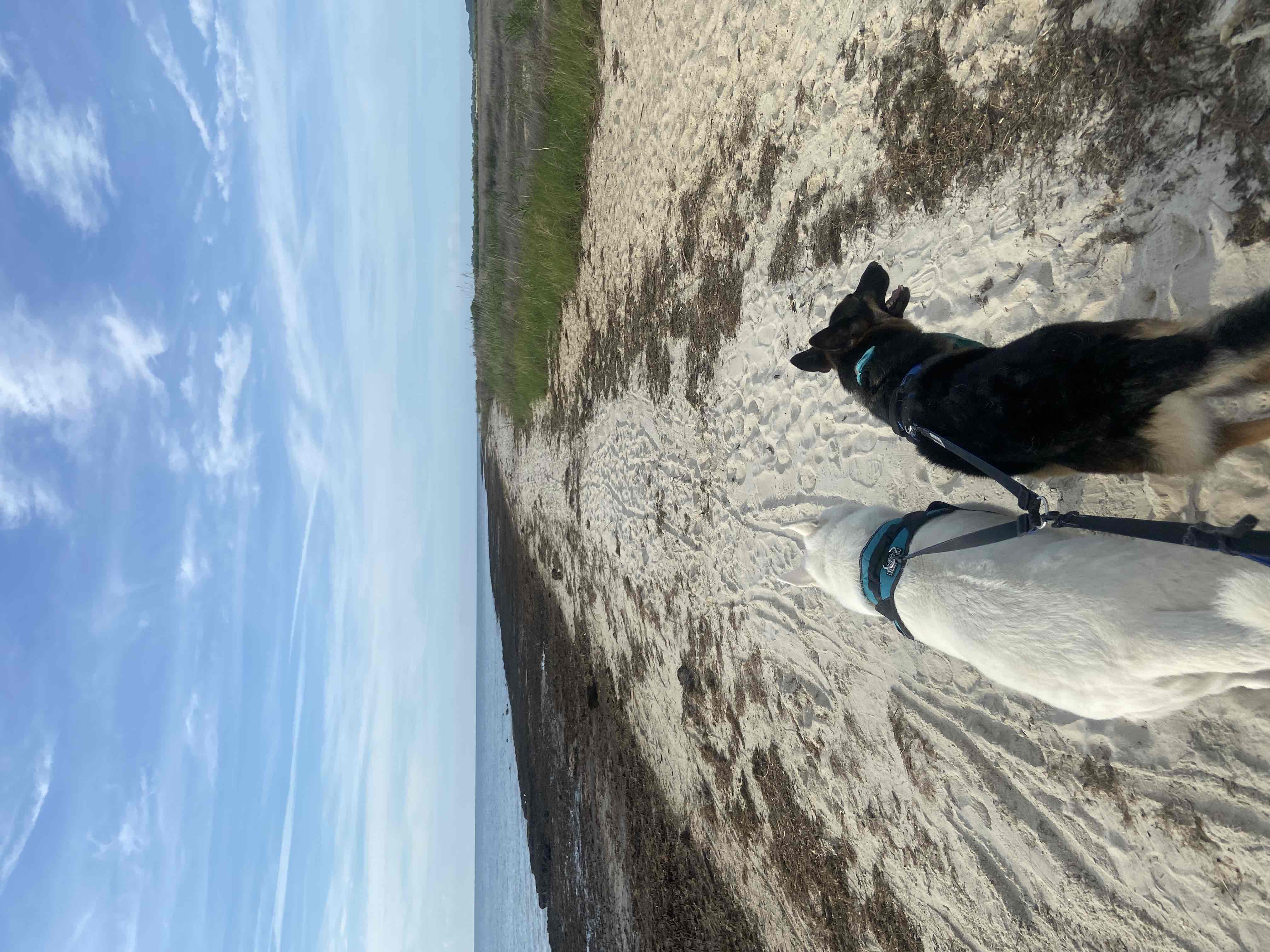 Beach Day at Bethel Beach Natural Area Preserve