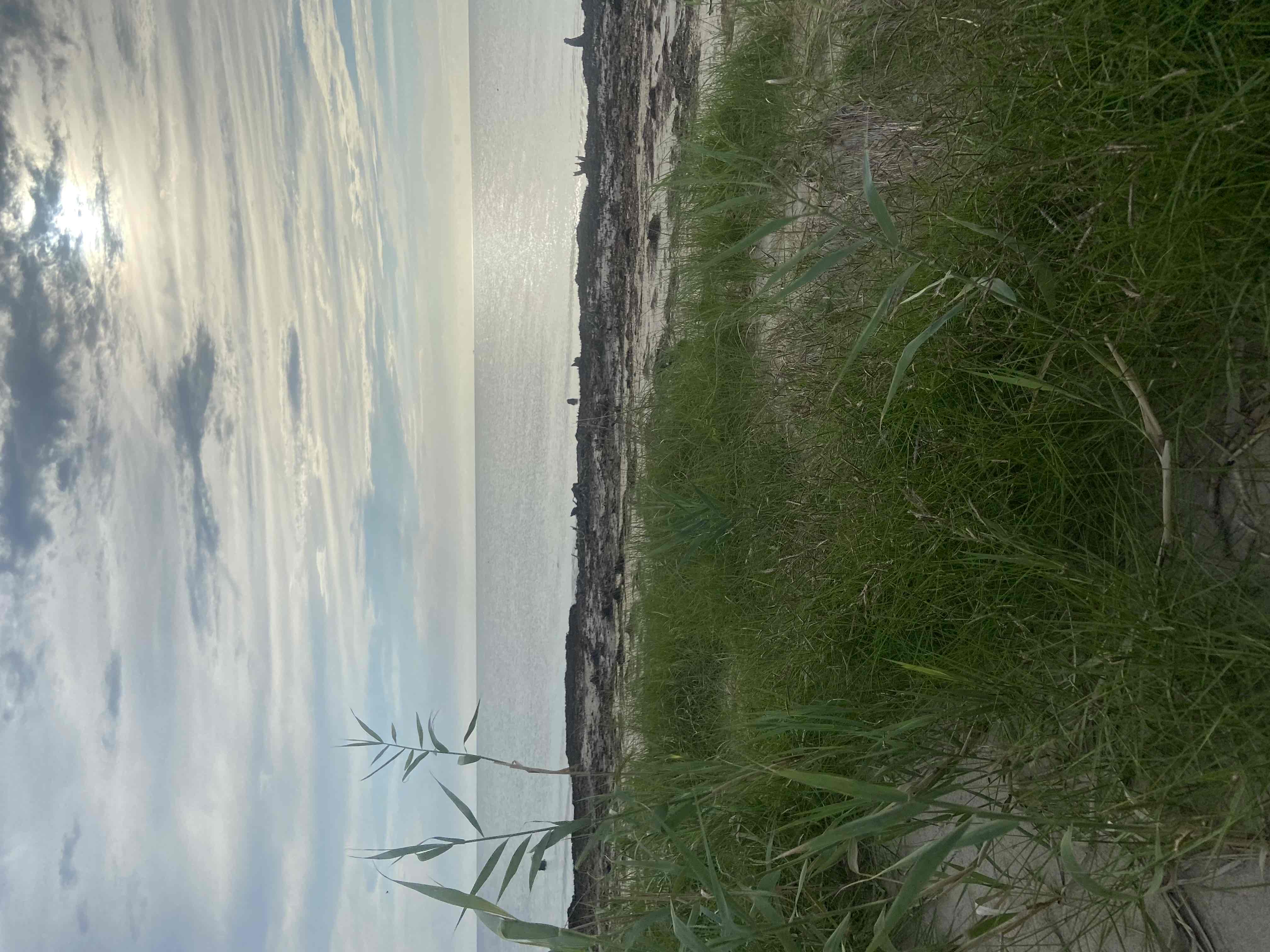 Beach Day at Bethel Beach Natural Area Preserve
