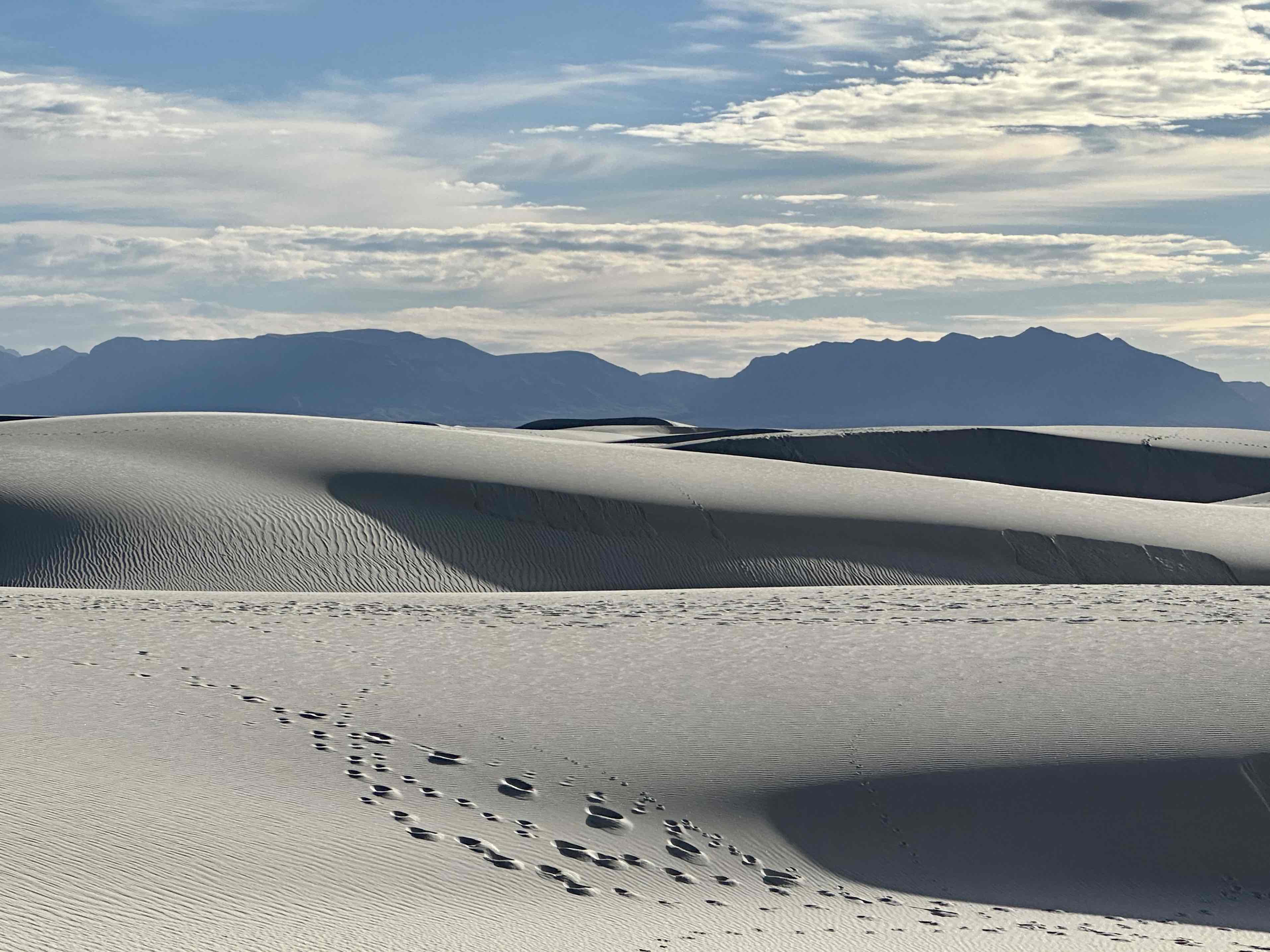 Playa Trail
