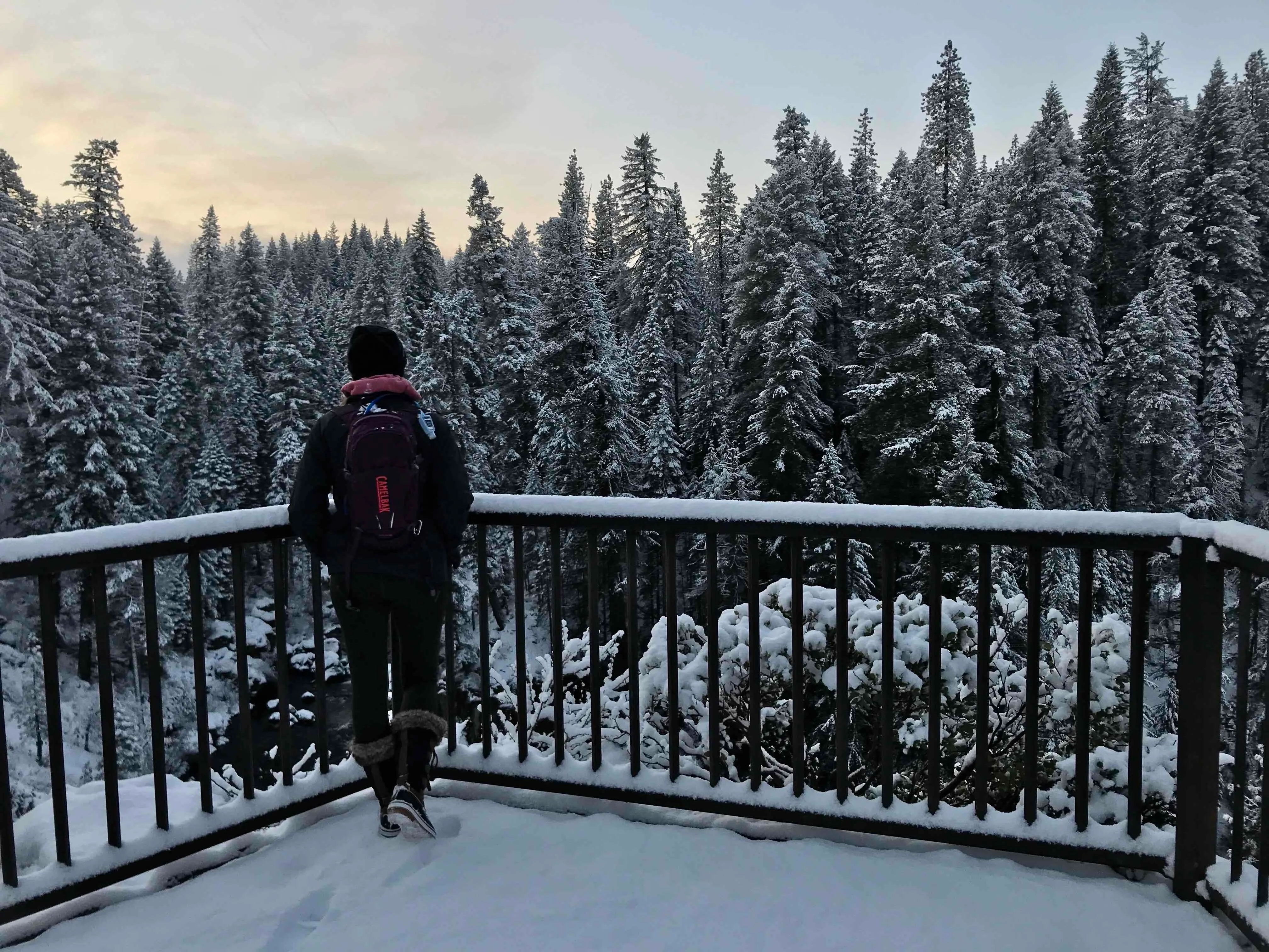 McCloud Middle Falls Short Trail