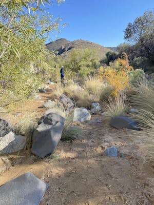 Badger Springs Wash Trail