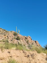 Badger Springs Wash Trail