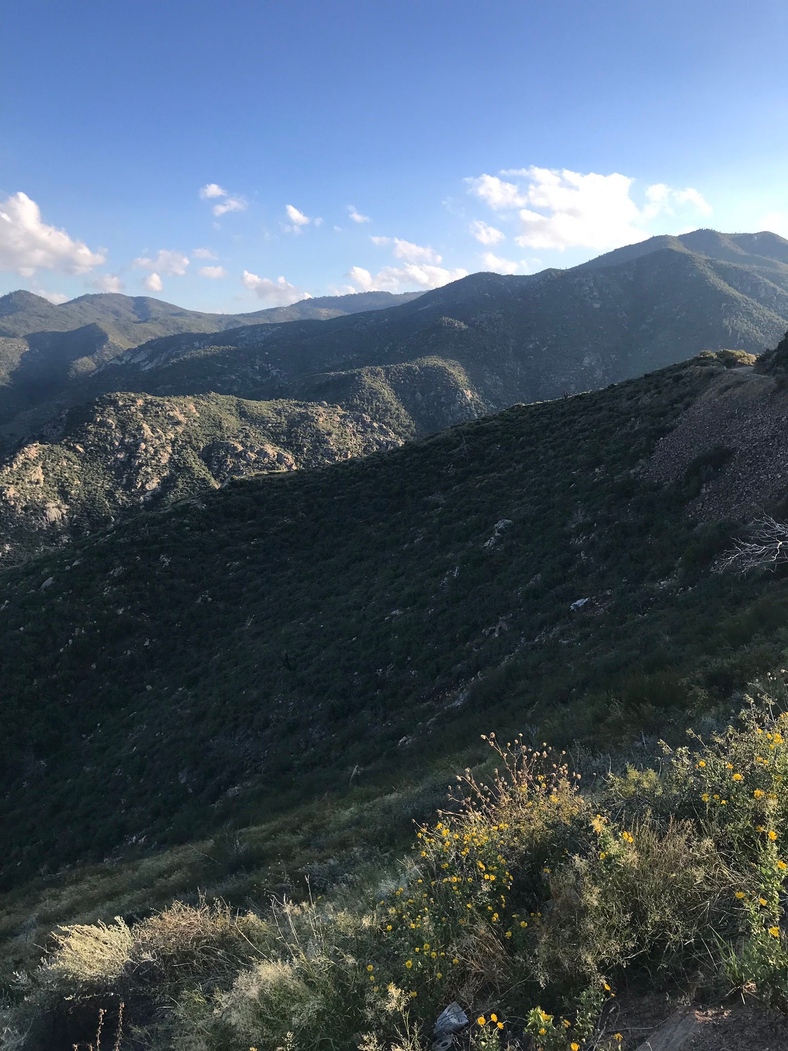 Crown King OHV Trail