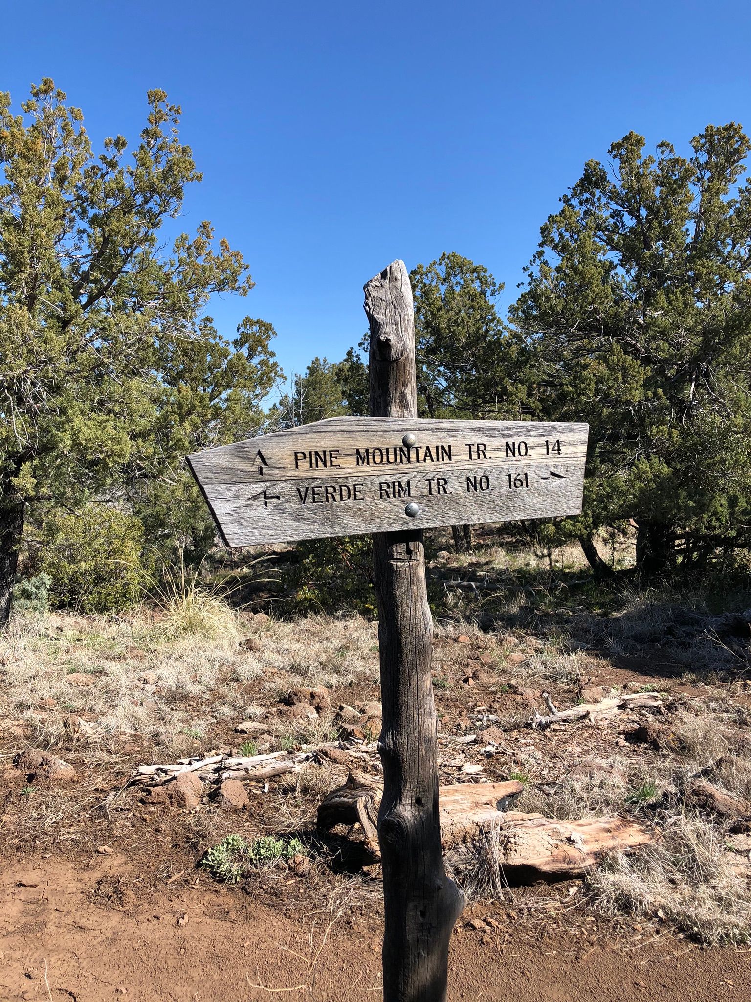Verde Rim Loop Trail