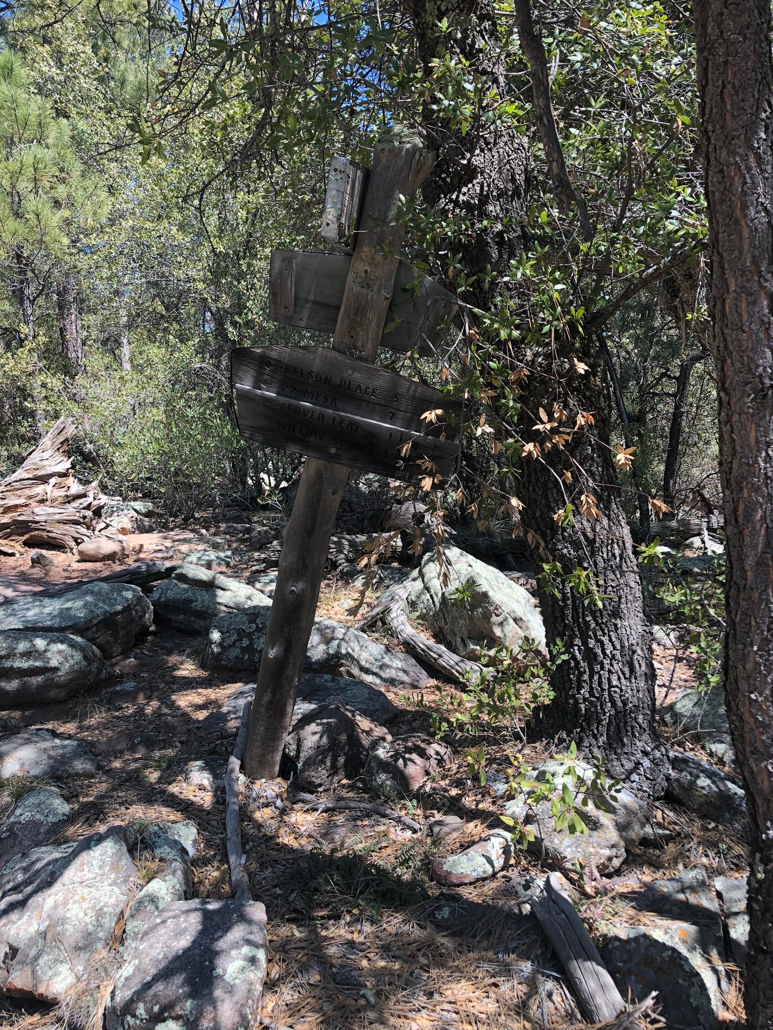 Verde Rim Loop Trail