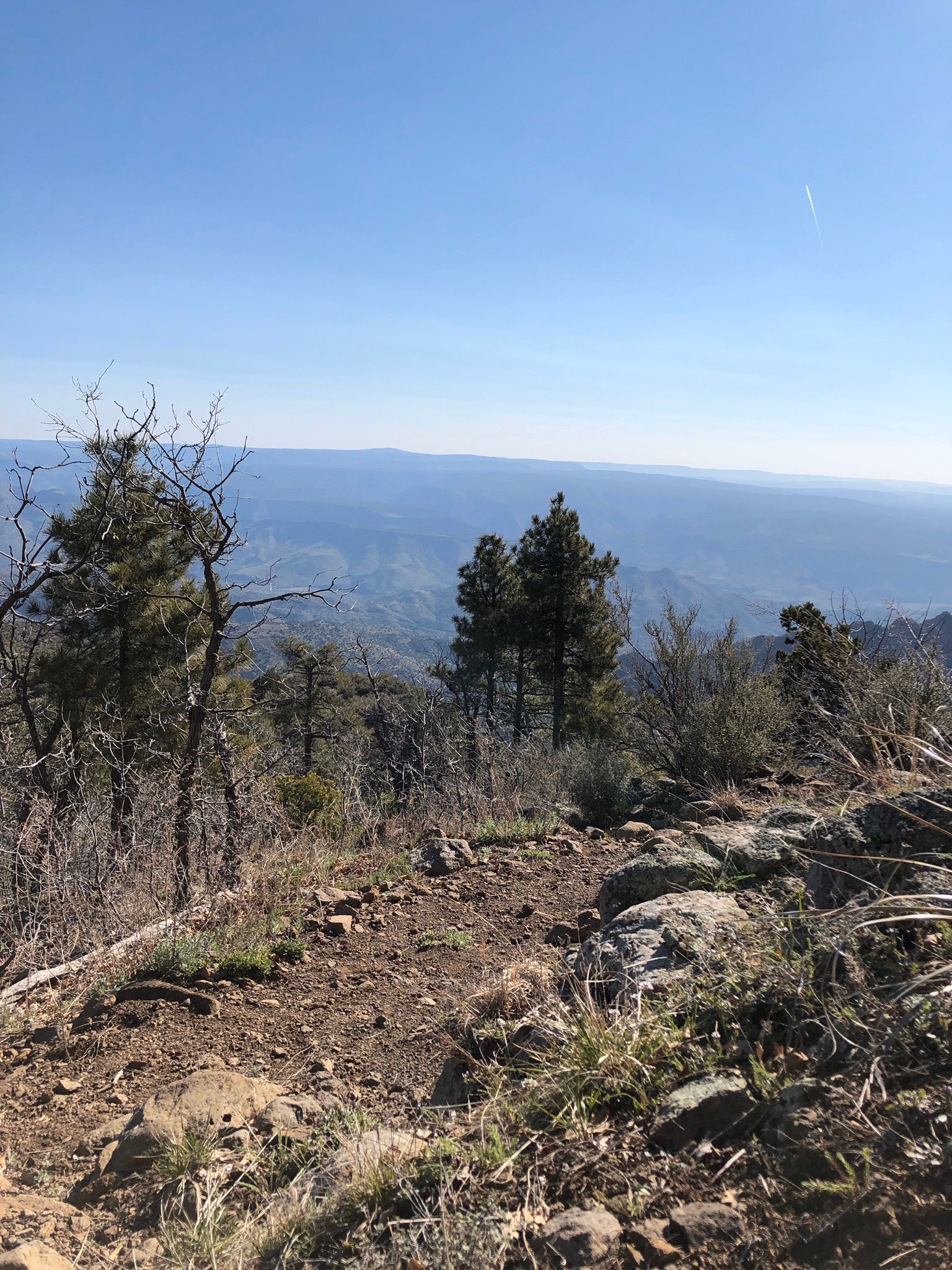 Verde Rim Loop Trail