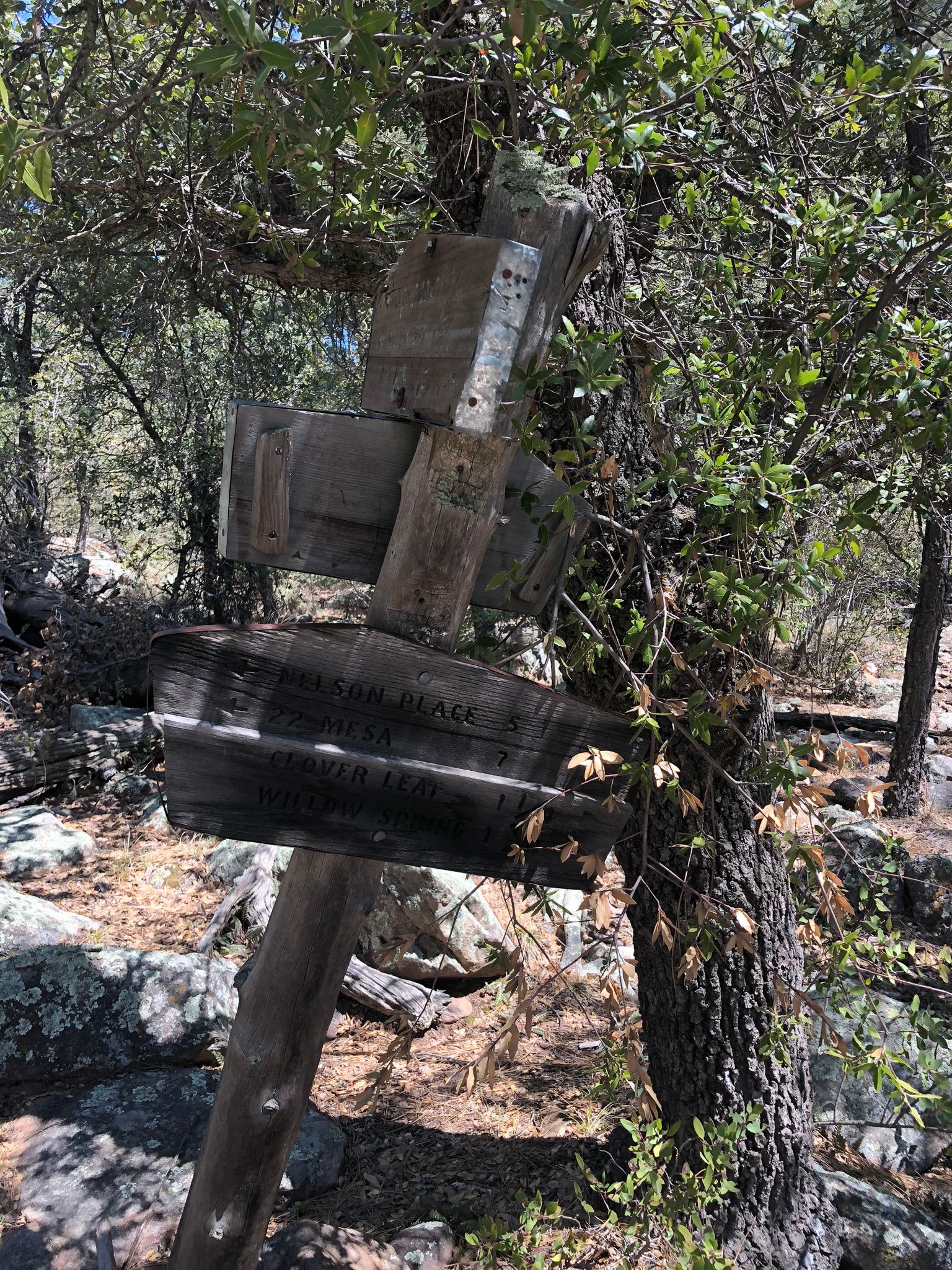 Verde Rim Loop Trail