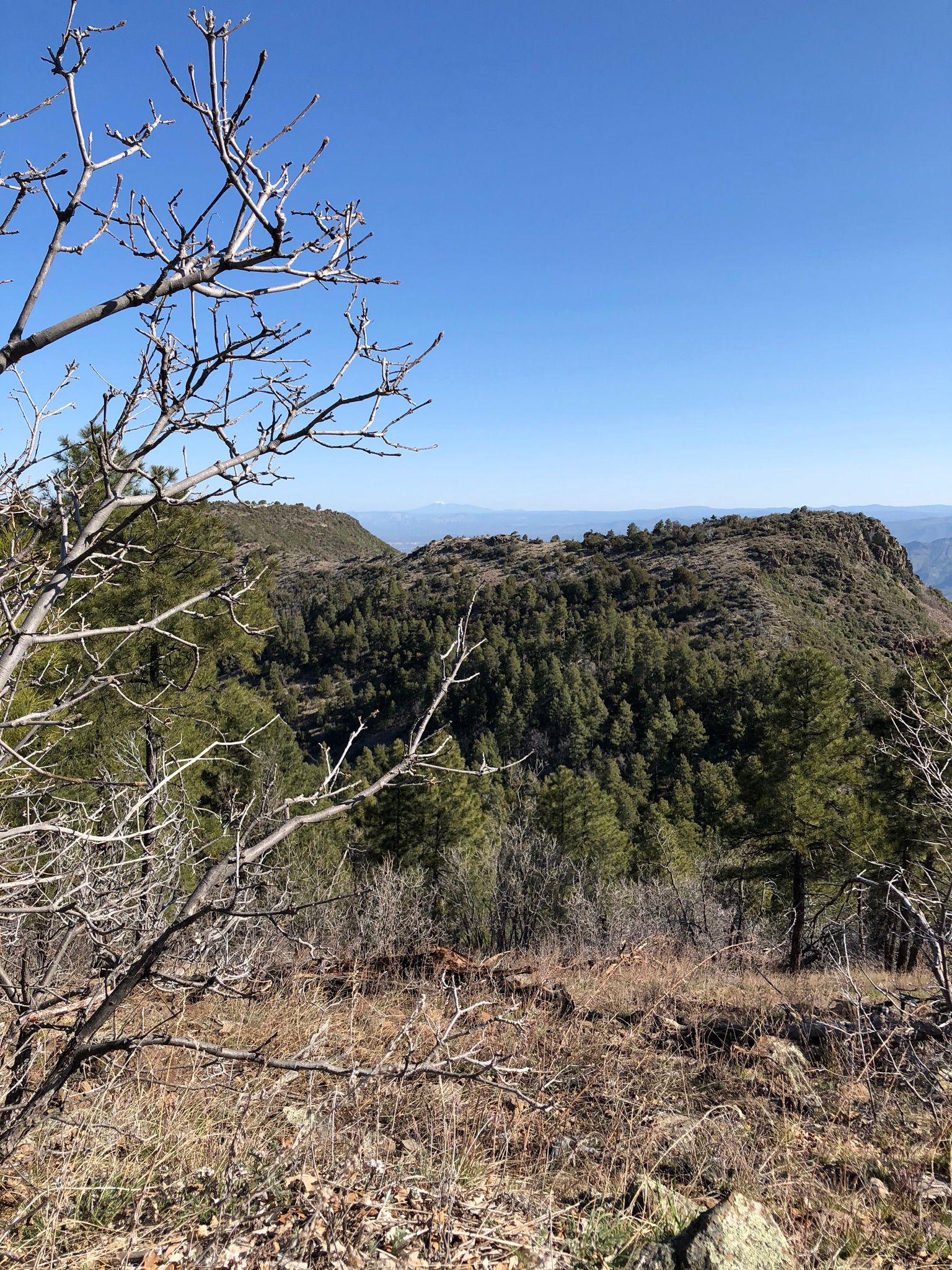 Verde Rim Loop Trail