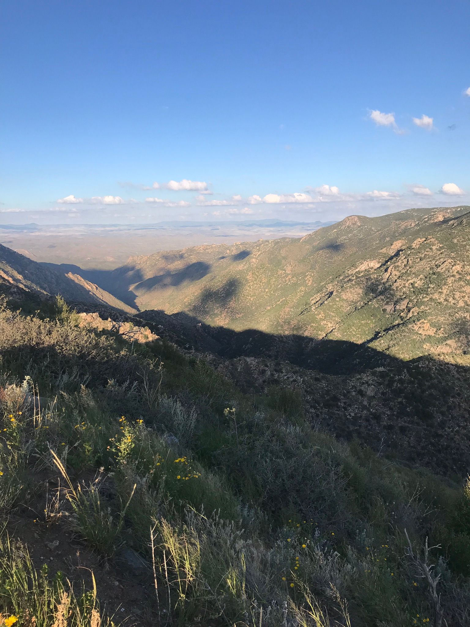 Crown King OHV Trail