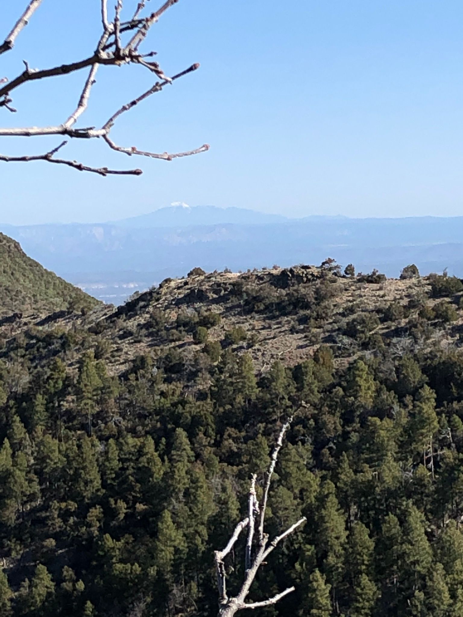 Verde Rim Loop Trail