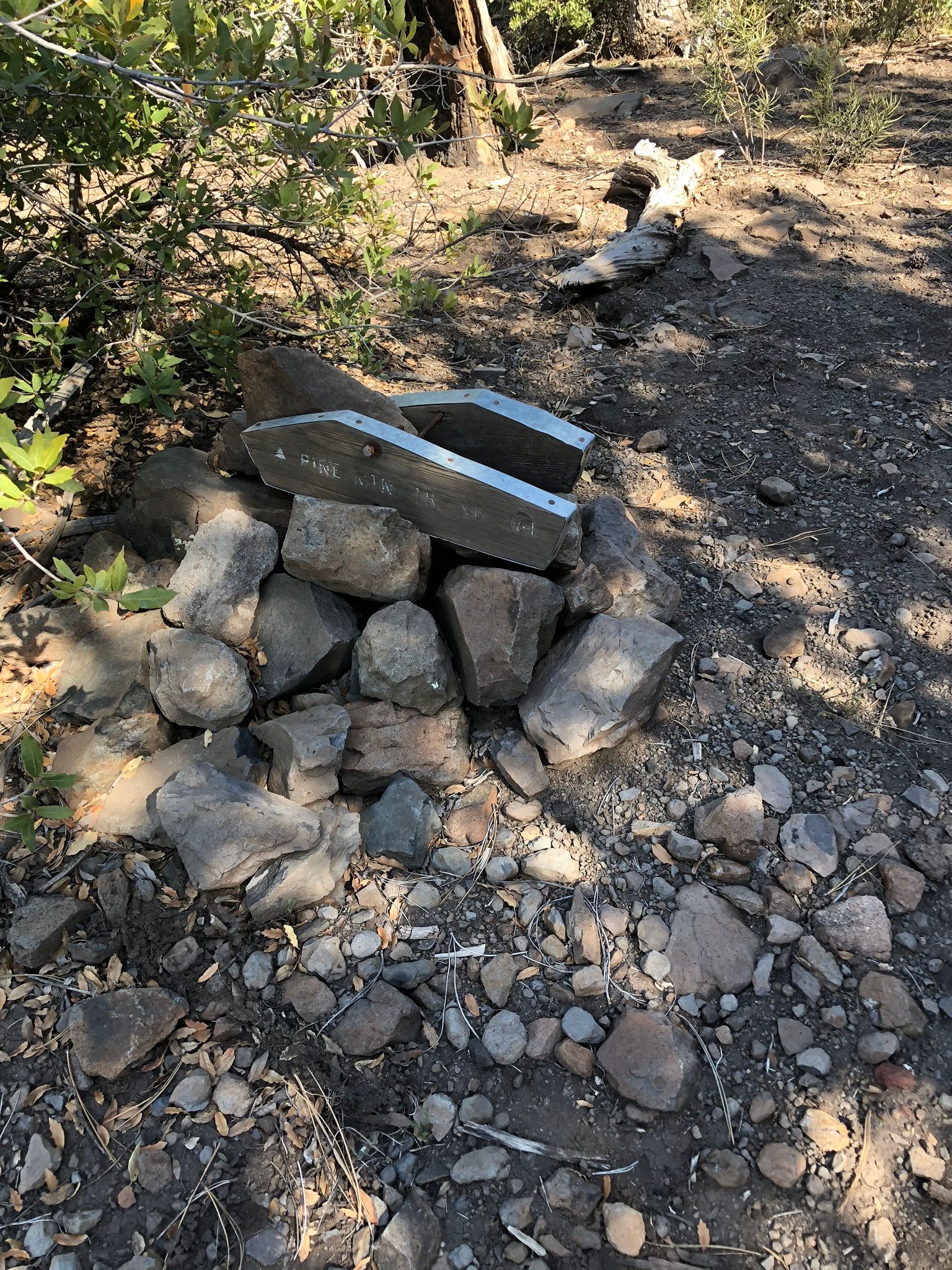 Verde Rim Loop Trail