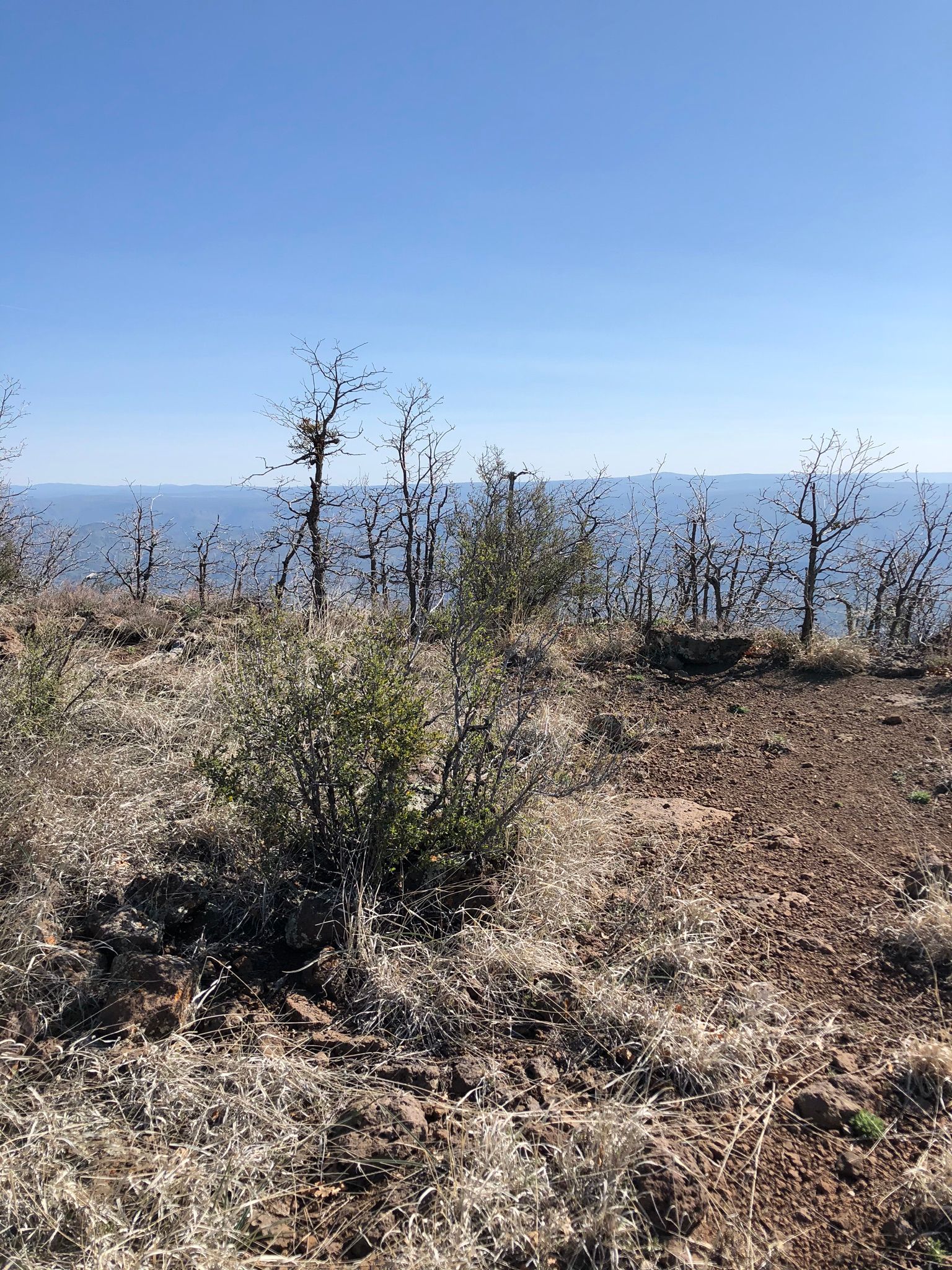 Verde Rim Loop Trail