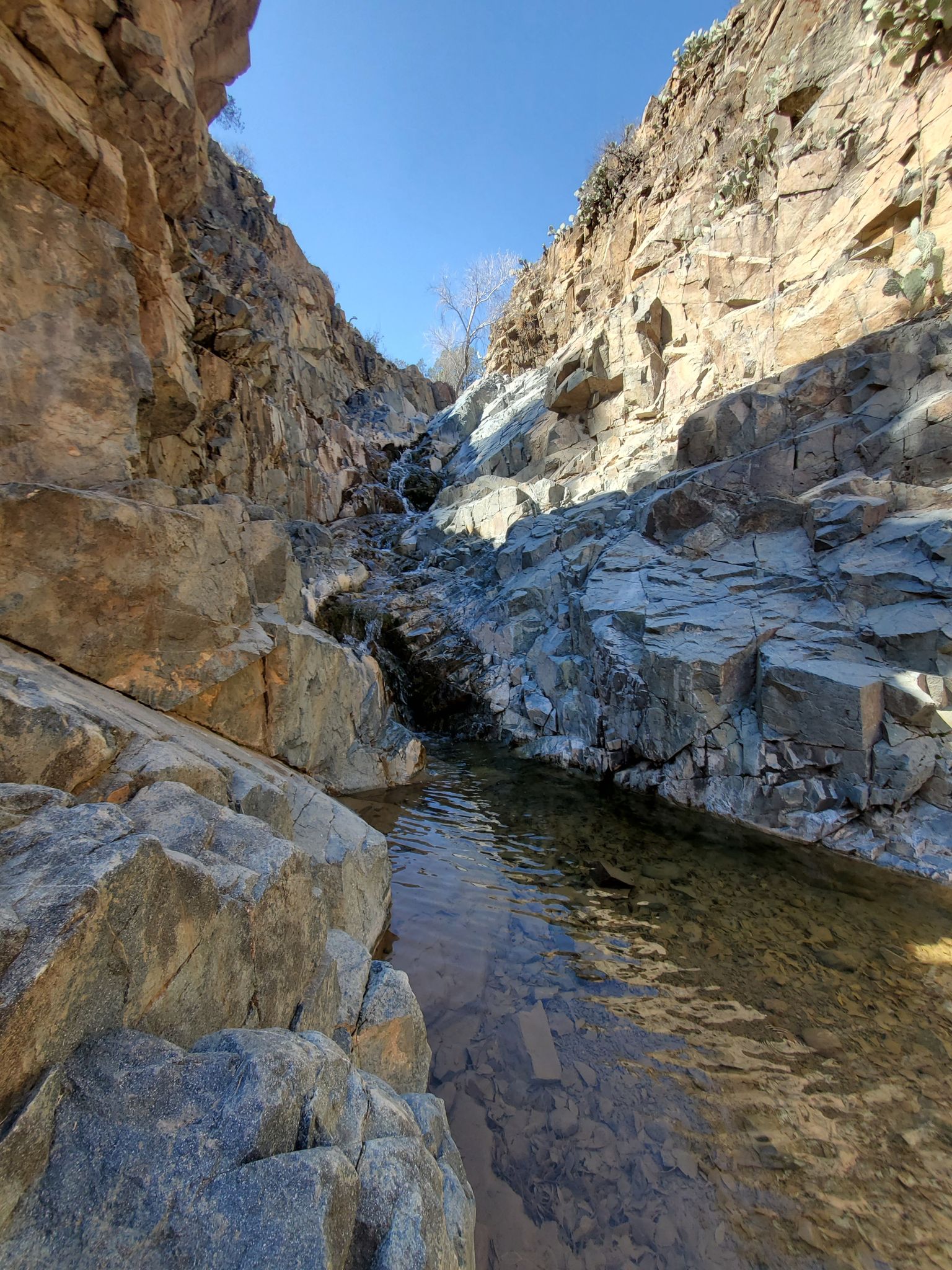 Copper Canyon Loop Trail 504