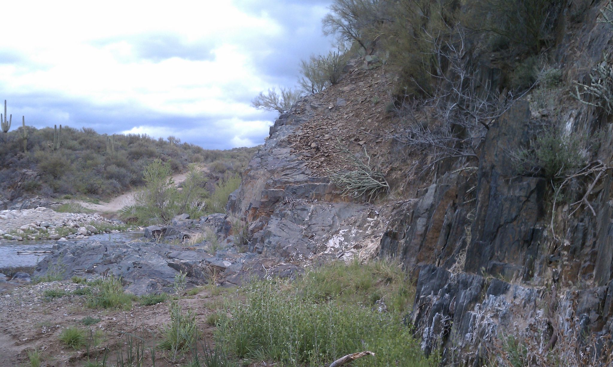 Castle Creek Road to Cleator