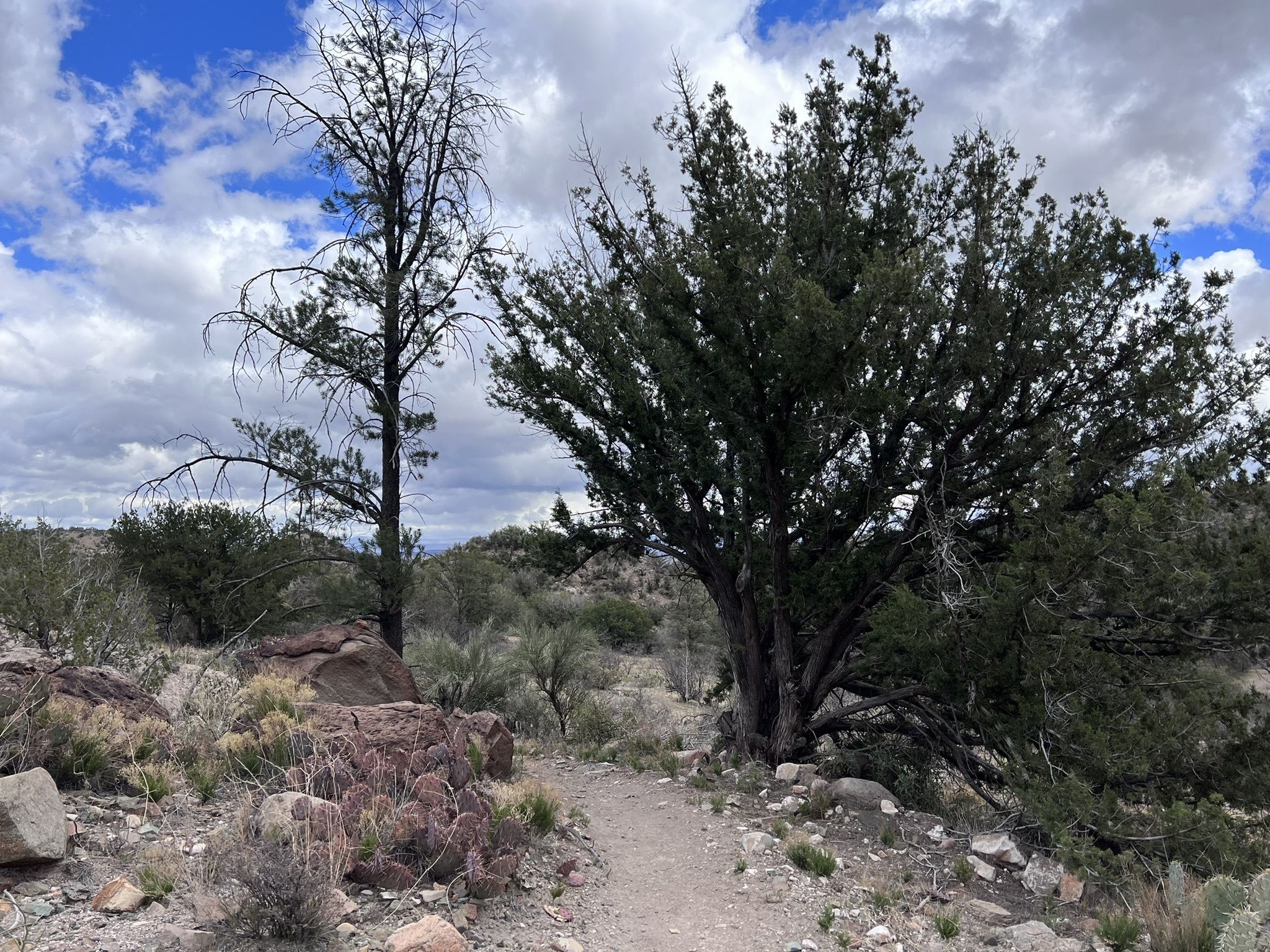 Copper Canyon Loop Trail 504