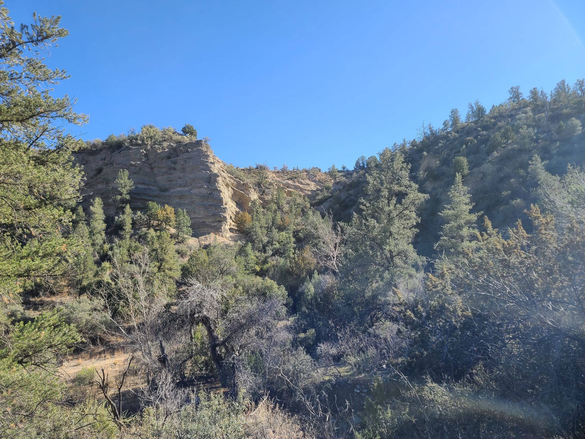 Copper Canyon Loop Trail 504