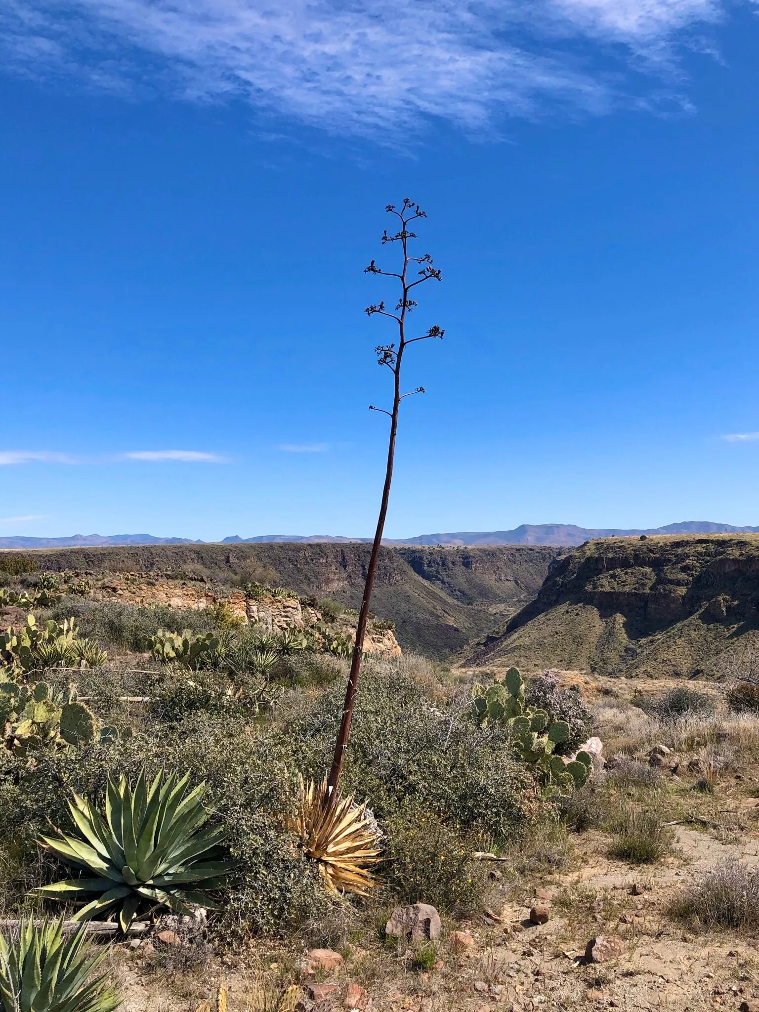Richinbar Mine and Pueblo Trail
